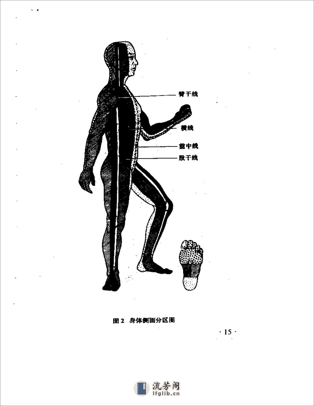 腕踝针疗法 - 第20页预览图