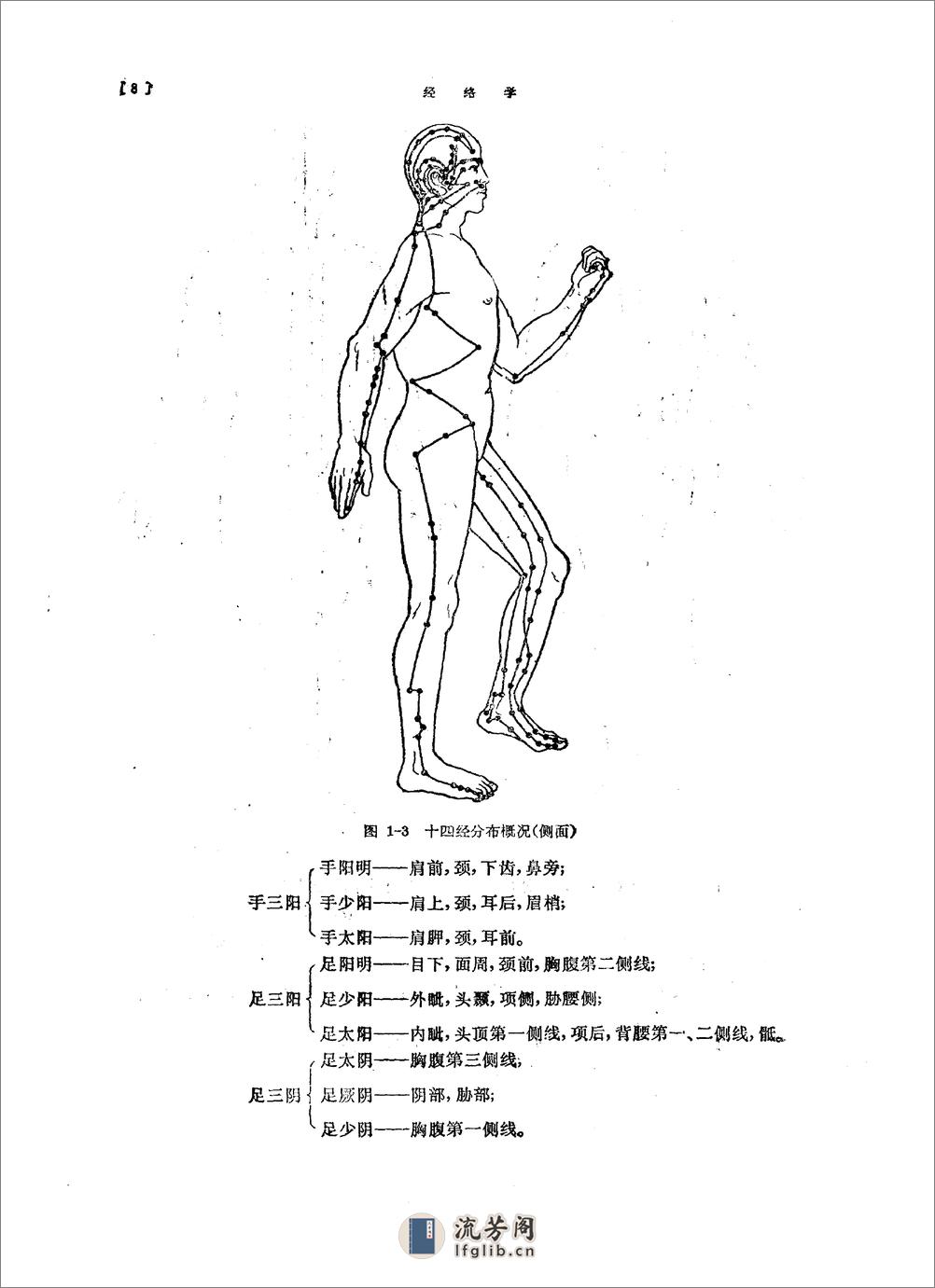 经络学 (1) - 第15页预览图