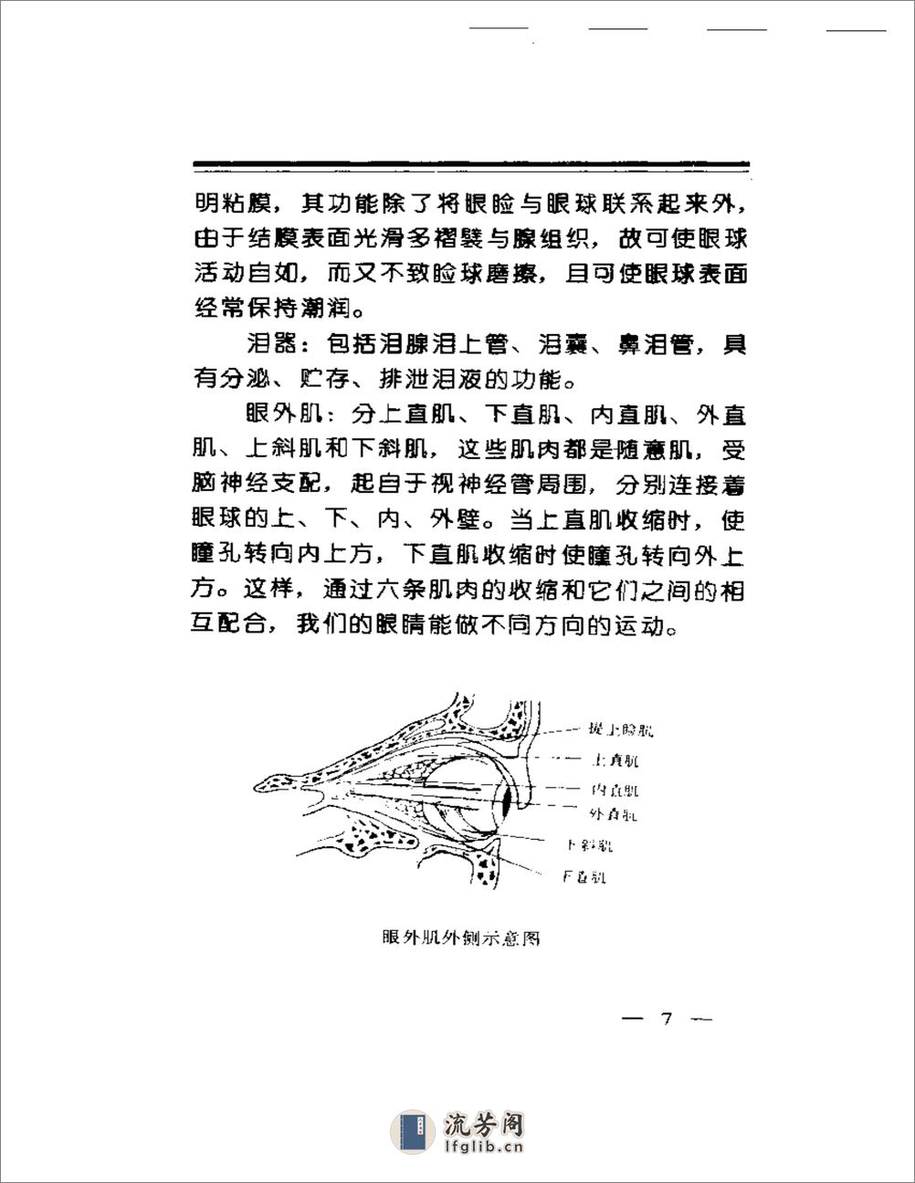 中华睛明技法 - 第10页预览图