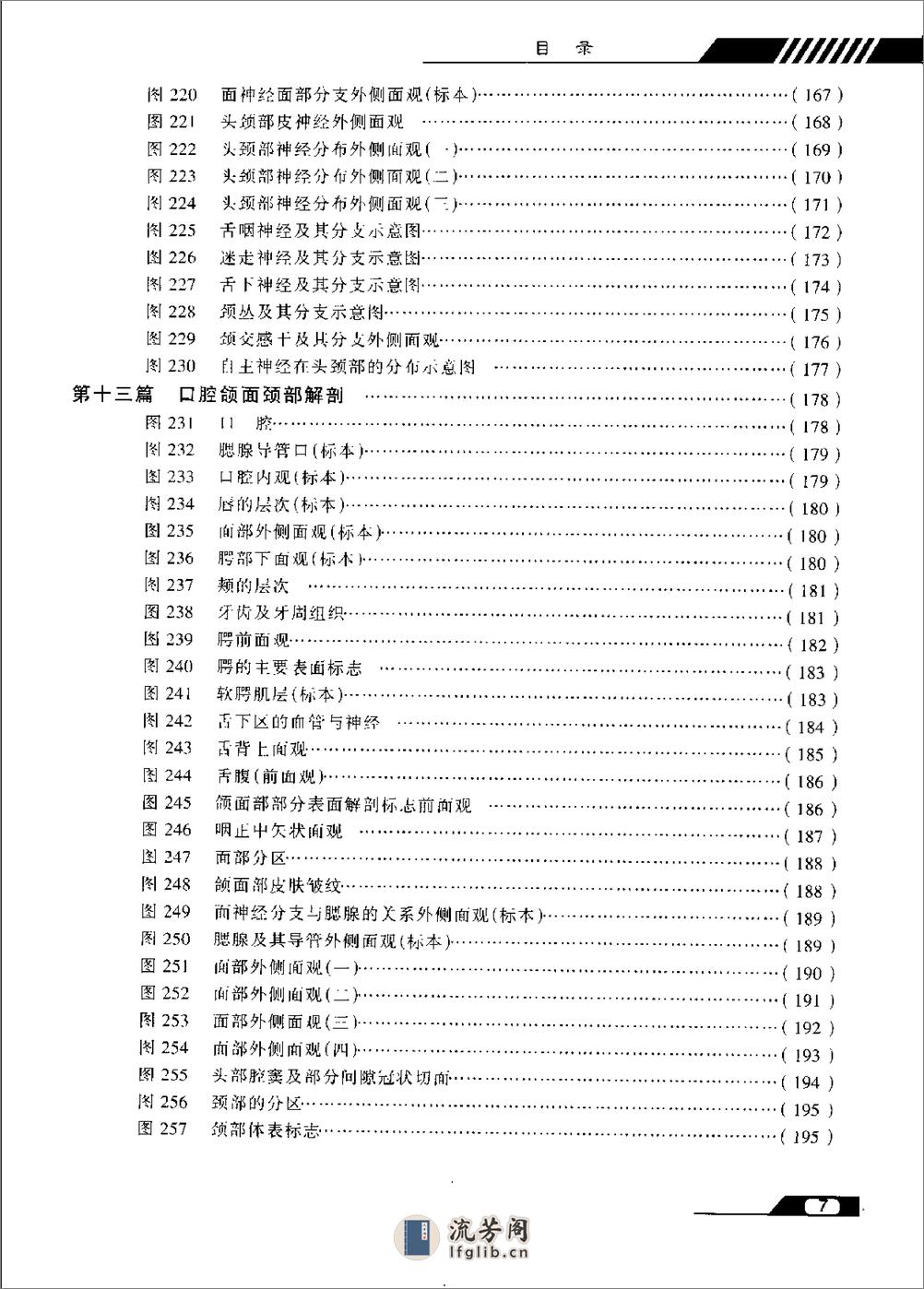 实用口腔解剖学图谱- - 第12页预览图