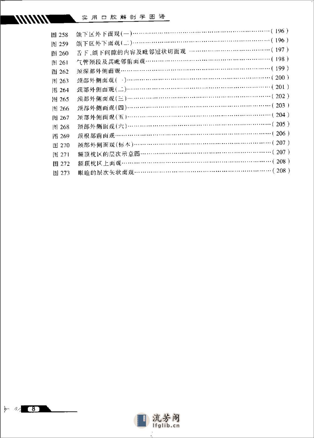 实用口腔解剖学图谱- - 第13页预览图