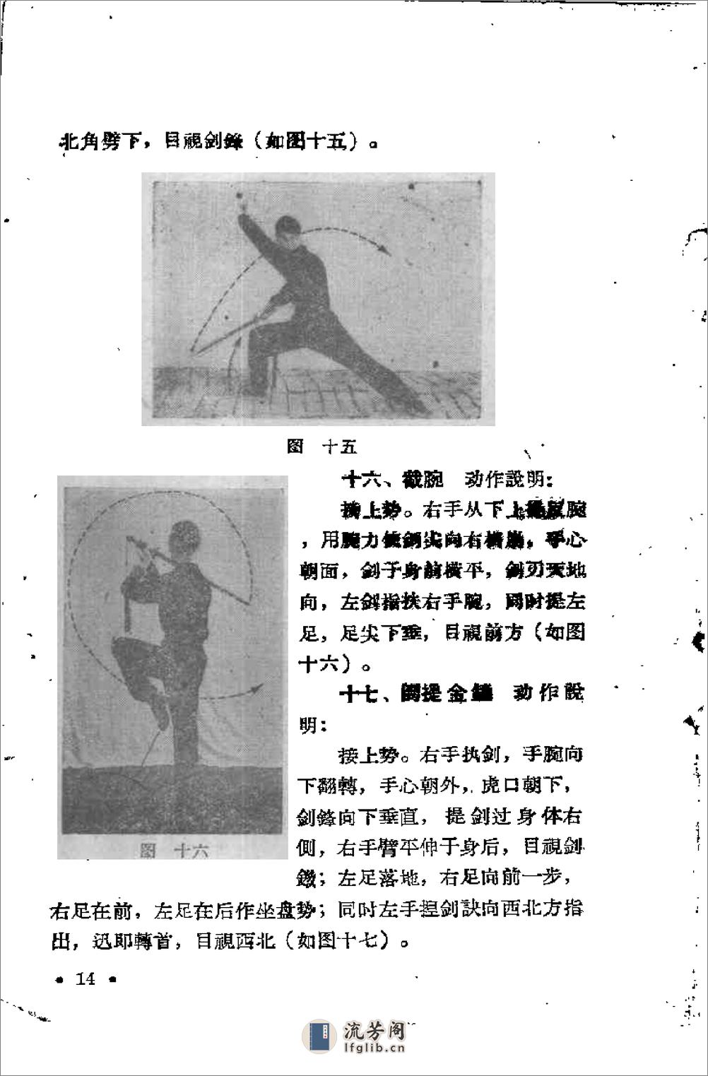 《龙行剑》胡洪 - 第15页预览图