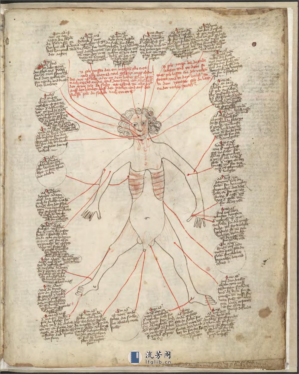 百科手稿包含寓言和医疗绘图.15 世纪 - 第9页预览图