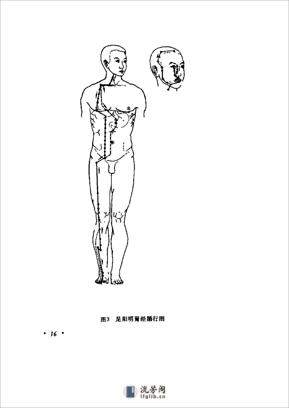 针灸气功经穴图谱 - 第20页预览图
