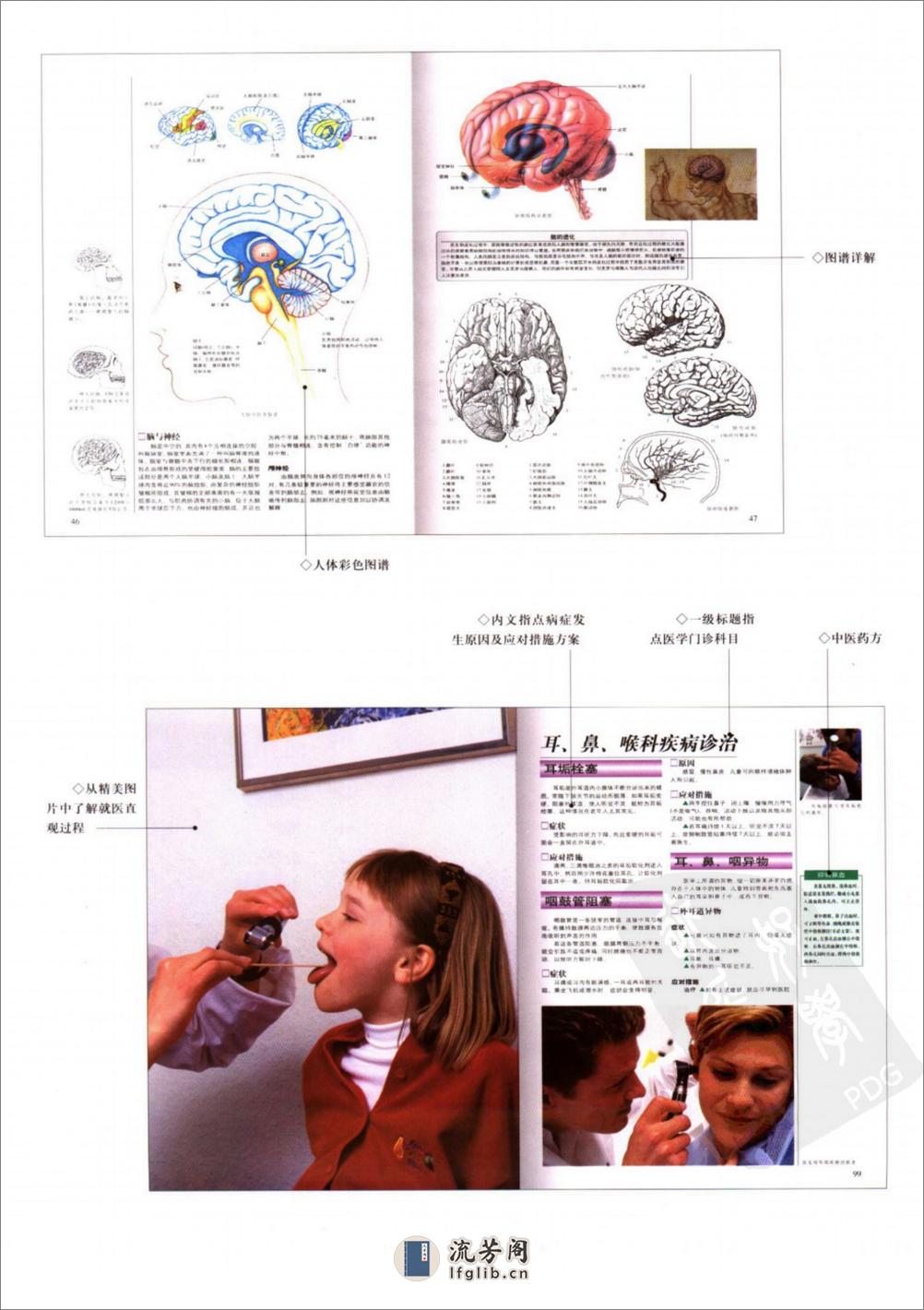 人体疾病自查彩色图谱_11685755_团结出版社_2006.01_刘国主编_Pg244(1) - 第7页预览图