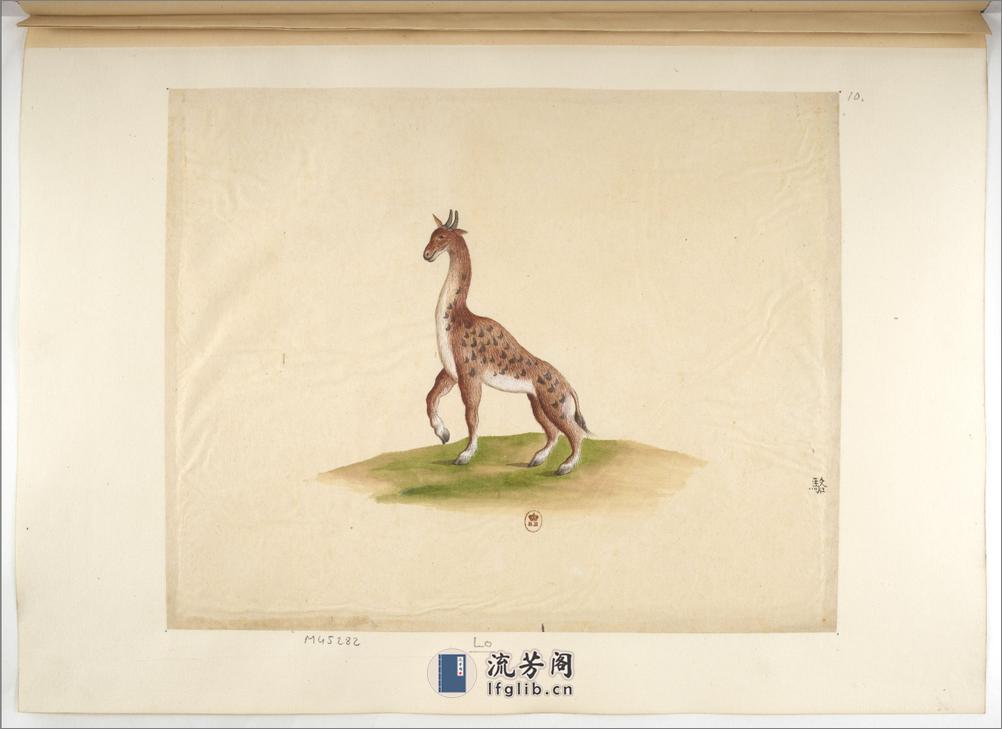 Animaux de la Chine.中国自然历史绘画.动物画谱.By Pierre Joseph Buchoz.1786-1787 - 第20页预览图