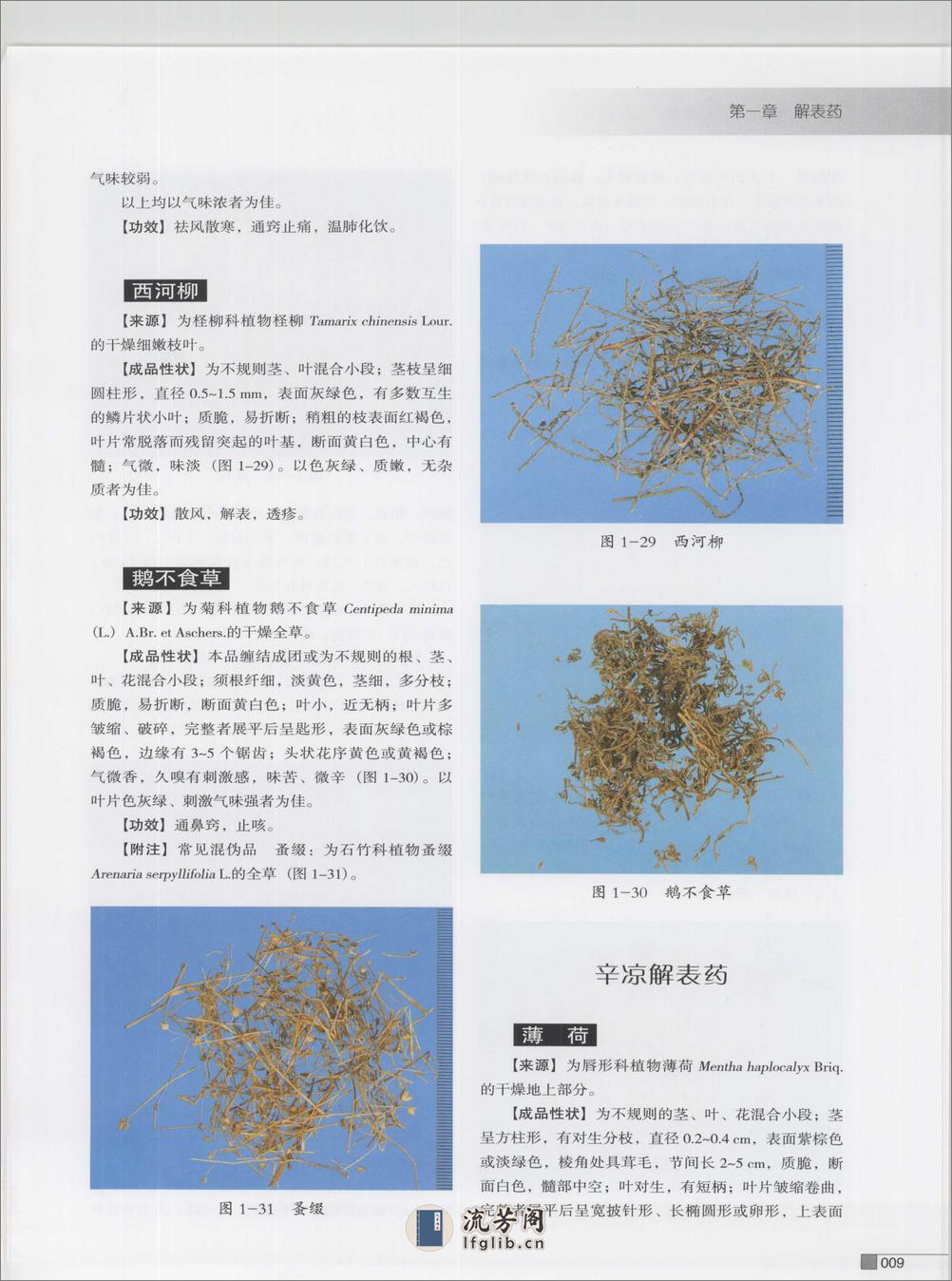 常用中药炮制品彩色图谱（高清版） - 第20页预览图