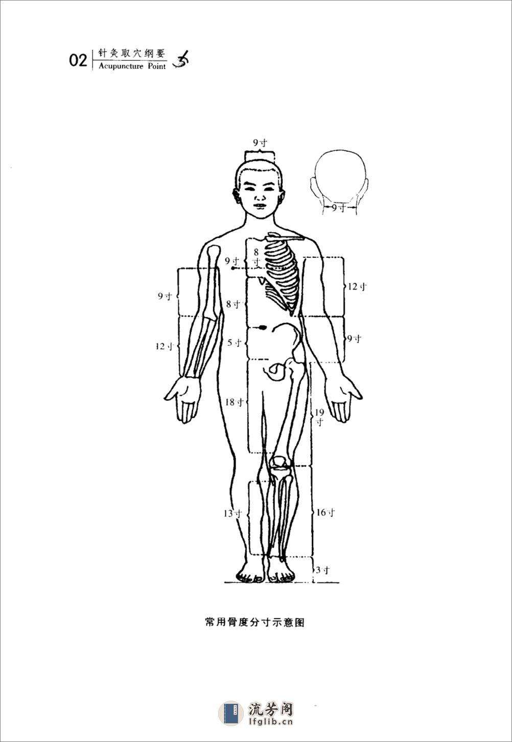 针灸取穴纲要_11797552_耿恩广编著_天津市... - 第13页预览图