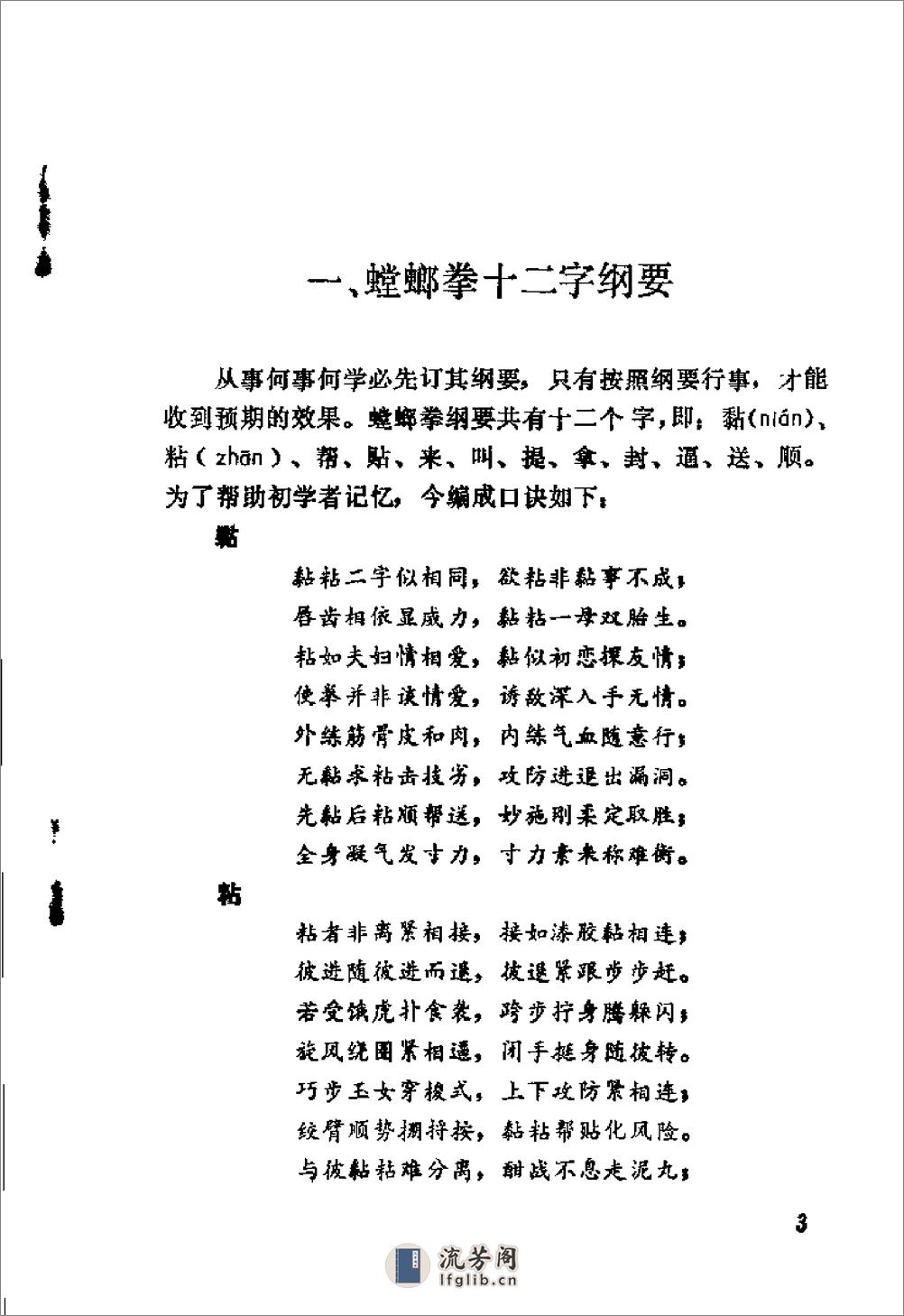 《螳螂拳》王洪发 - 第12页预览图