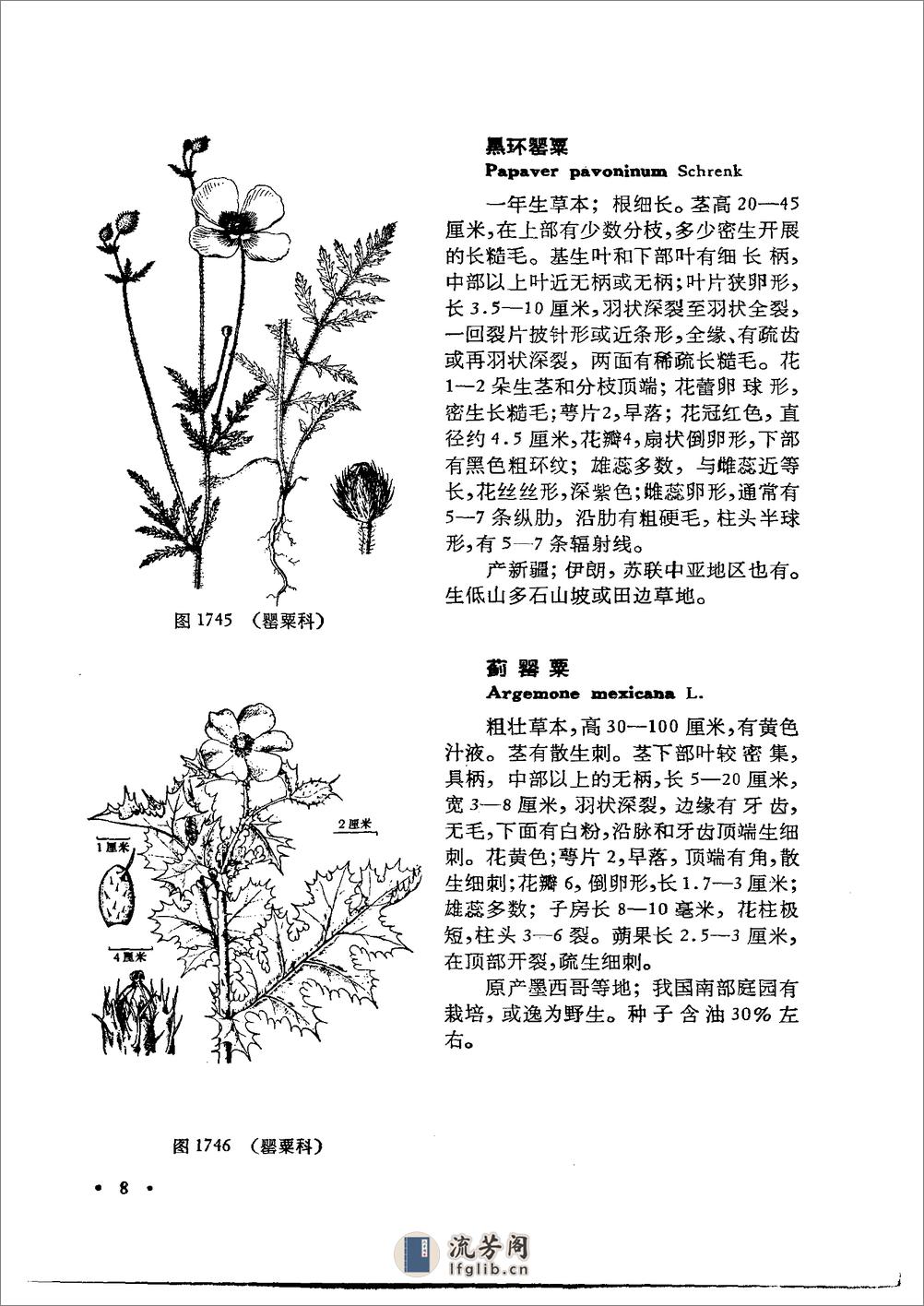 中国高等植物图鉴.第二册 - 第15页预览图