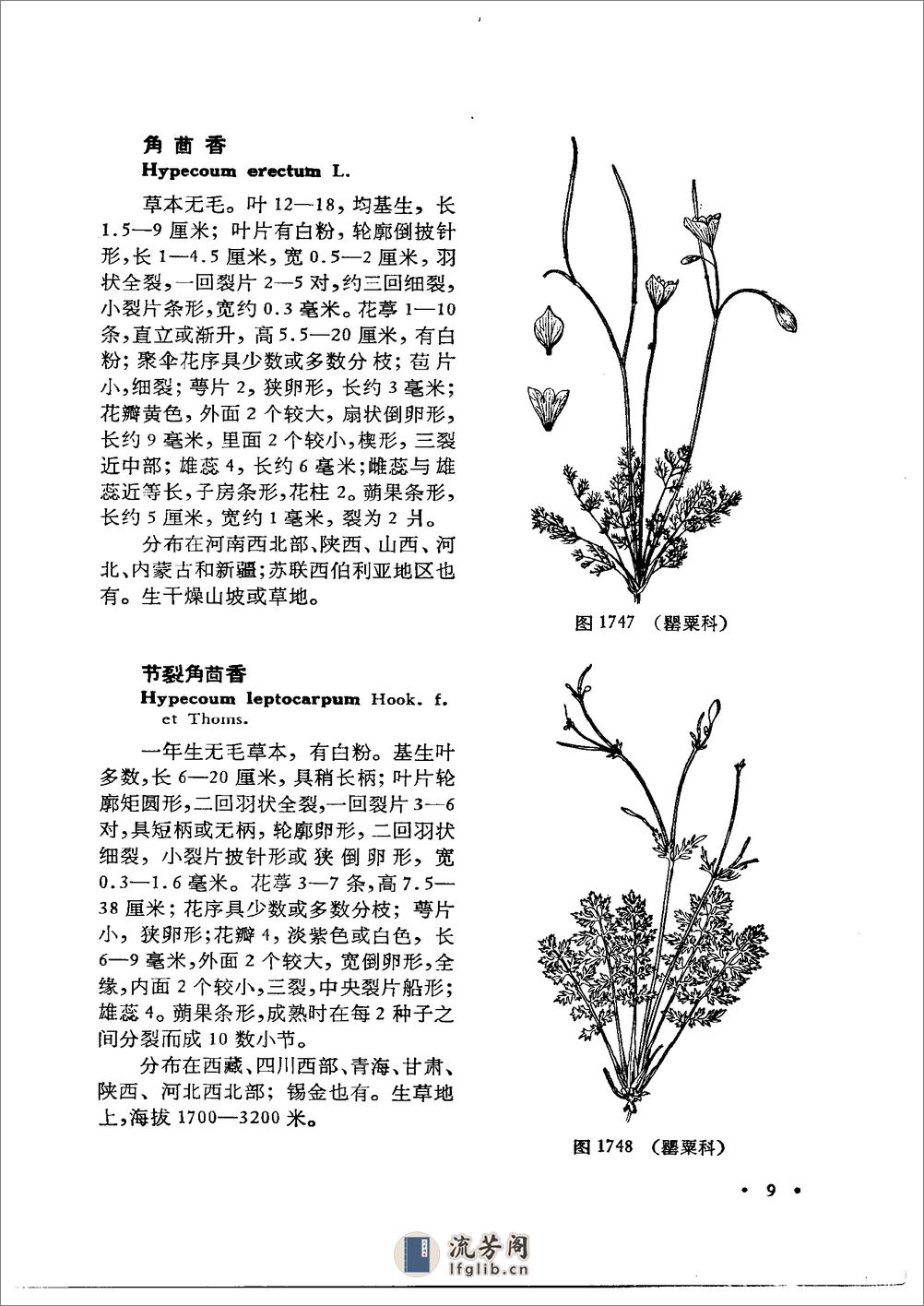 中国高等植物图鉴.第二册 - 第16页预览图