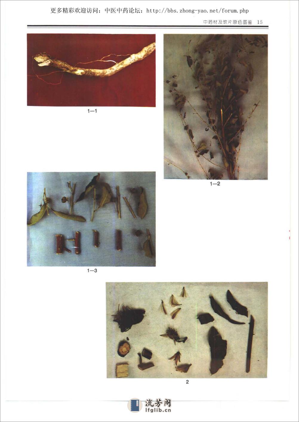 中药材及饮片原色图鉴 - 第16页预览图