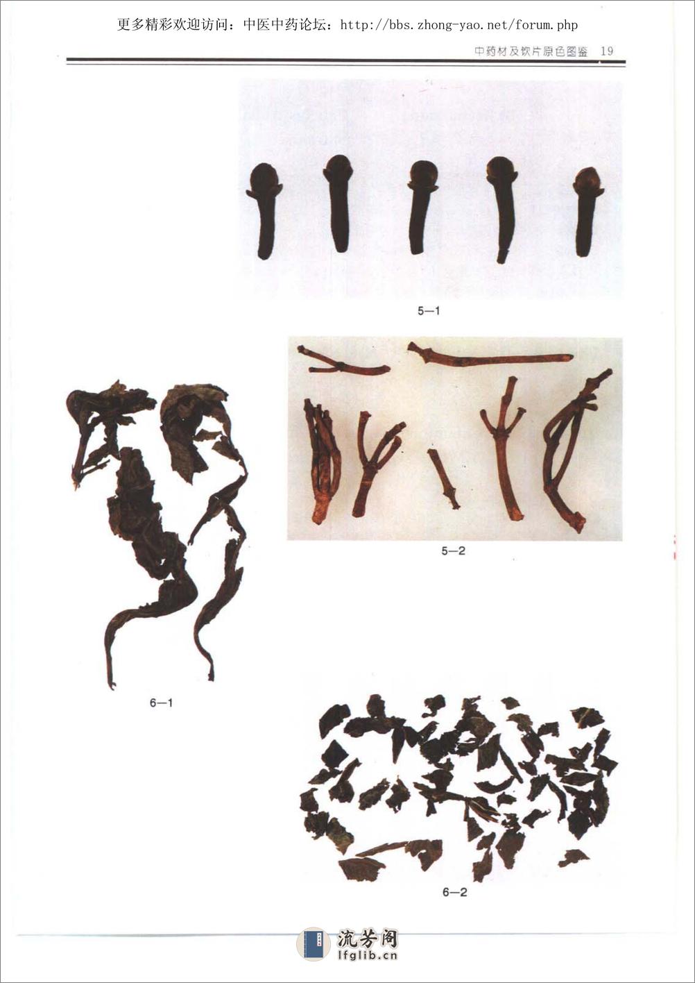 中药材及饮片原色图鉴 - 第20页预览图