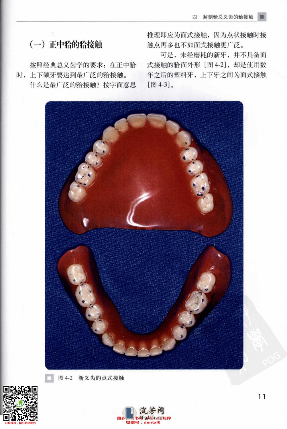 总义齿的合接触：五种不同合型的设计要点 - 第20页预览图