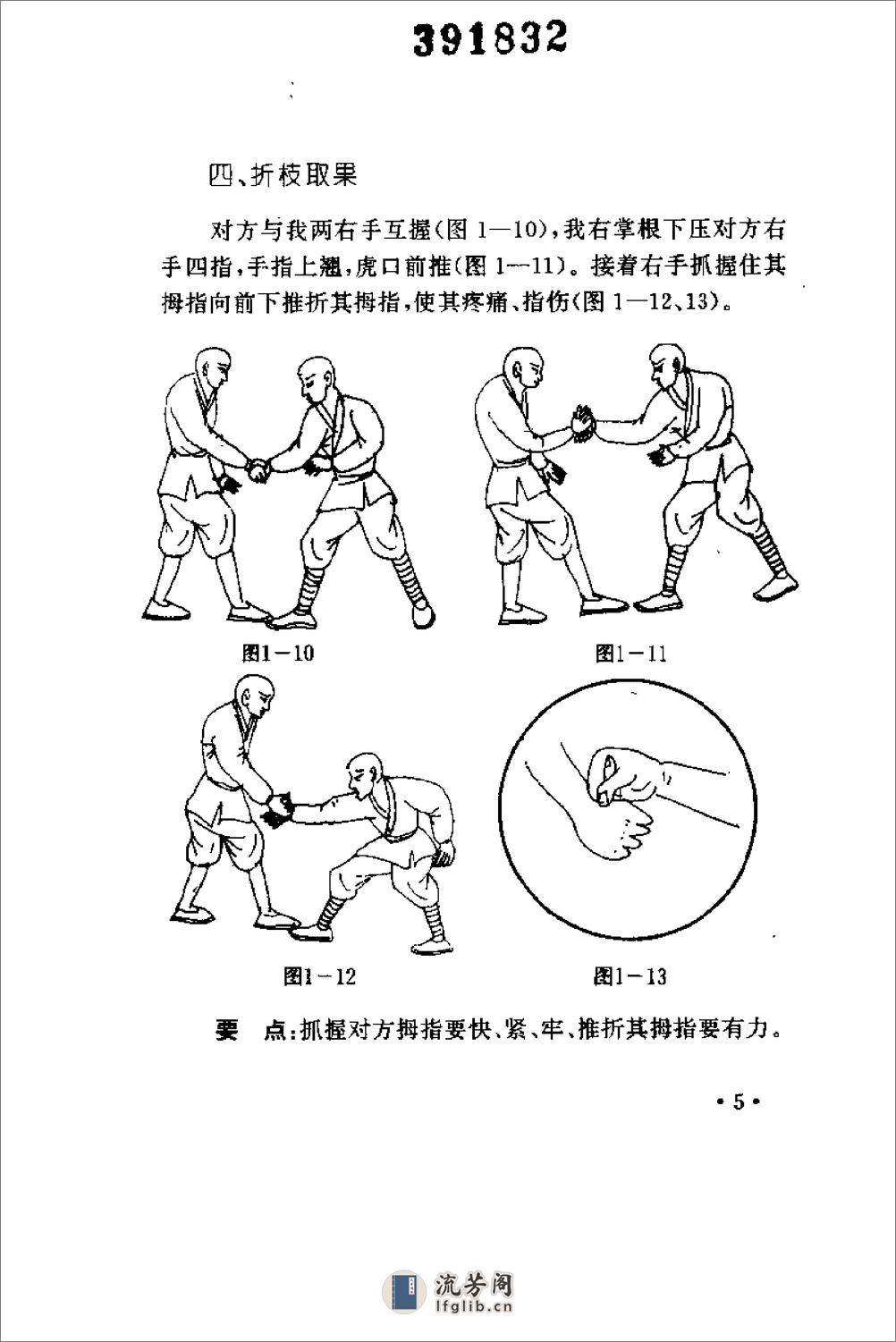 擒拿秘招（安在峰） - 第12页预览图