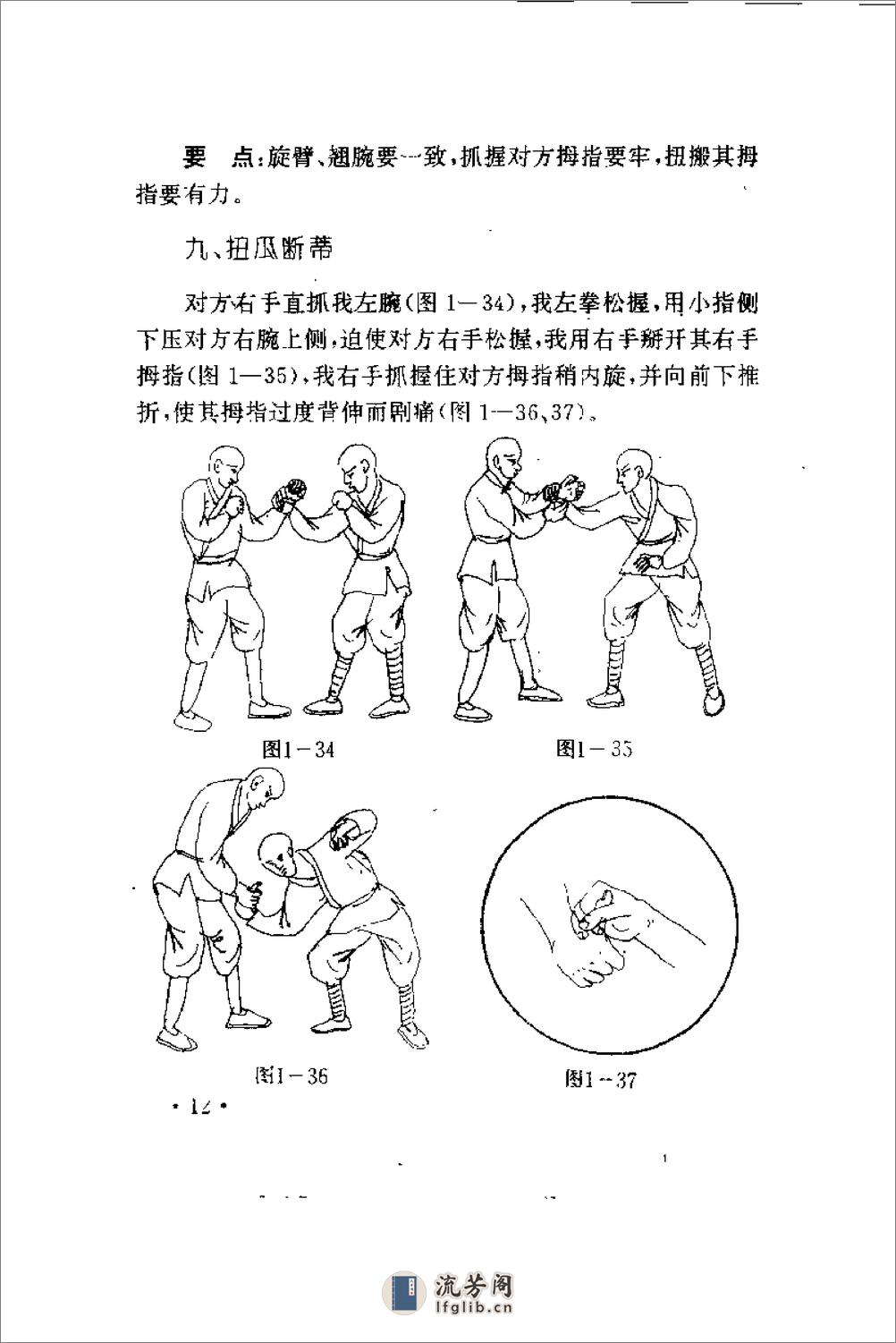 擒拿秘招（安在峰） - 第19页预览图