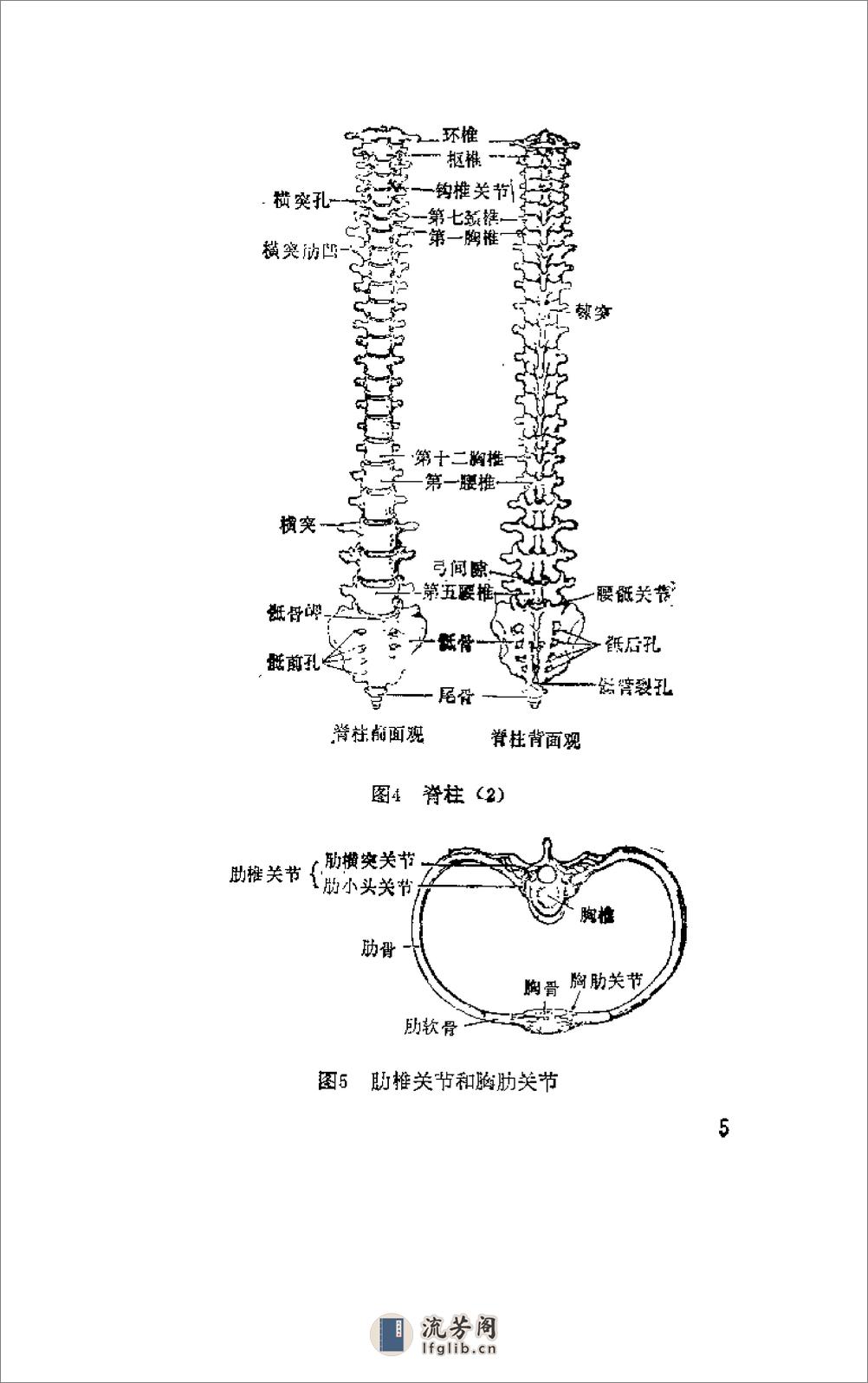 [杨希贤疗伤手法].陈新民 - 第10页预览图