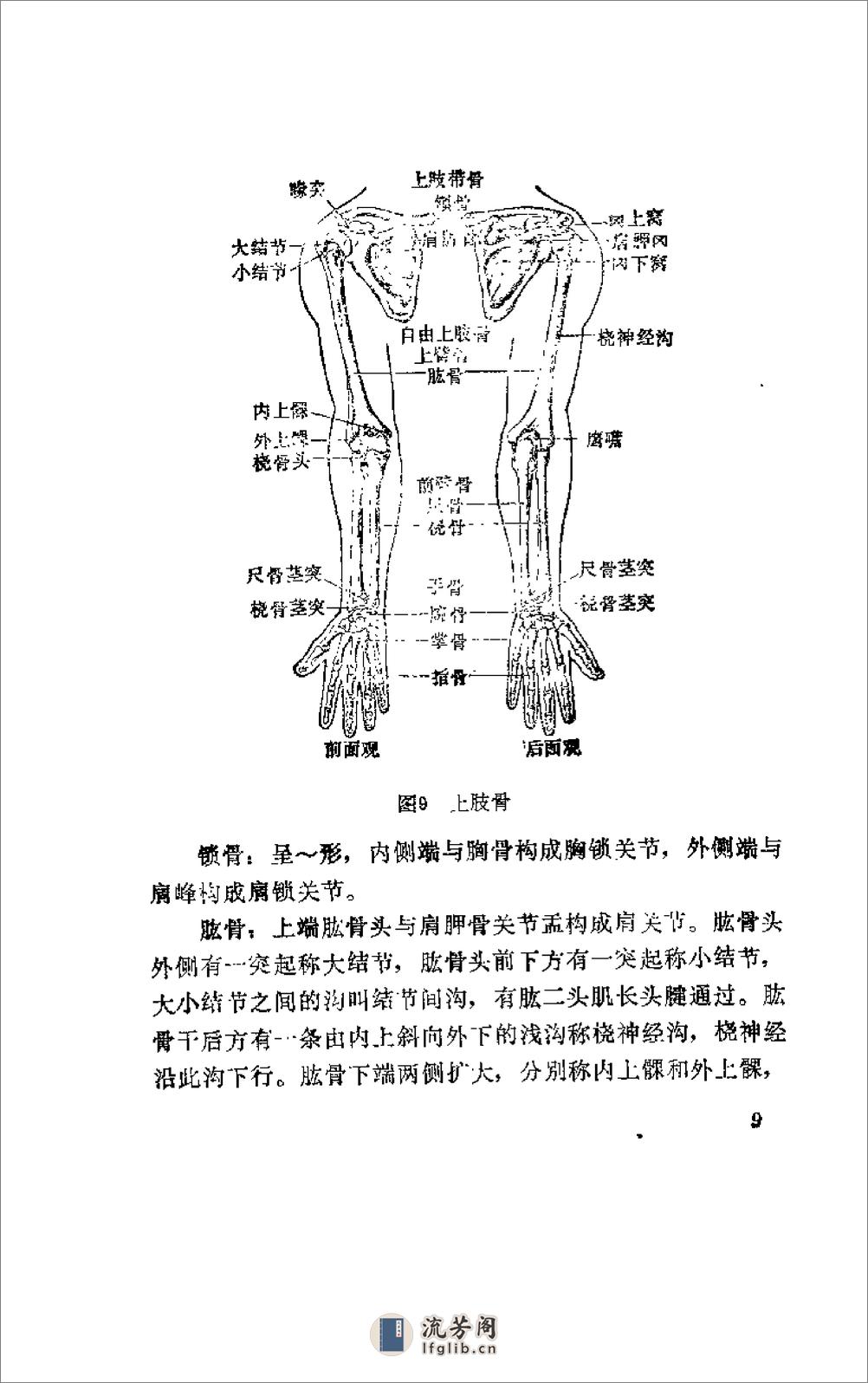 [杨希贤疗伤手法].陈新民 - 第14页预览图