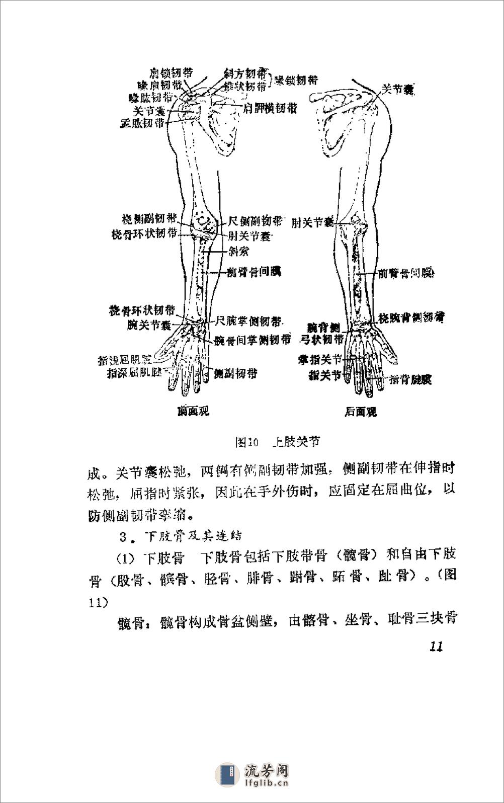 [杨希贤疗伤手法].陈新民 - 第16页预览图