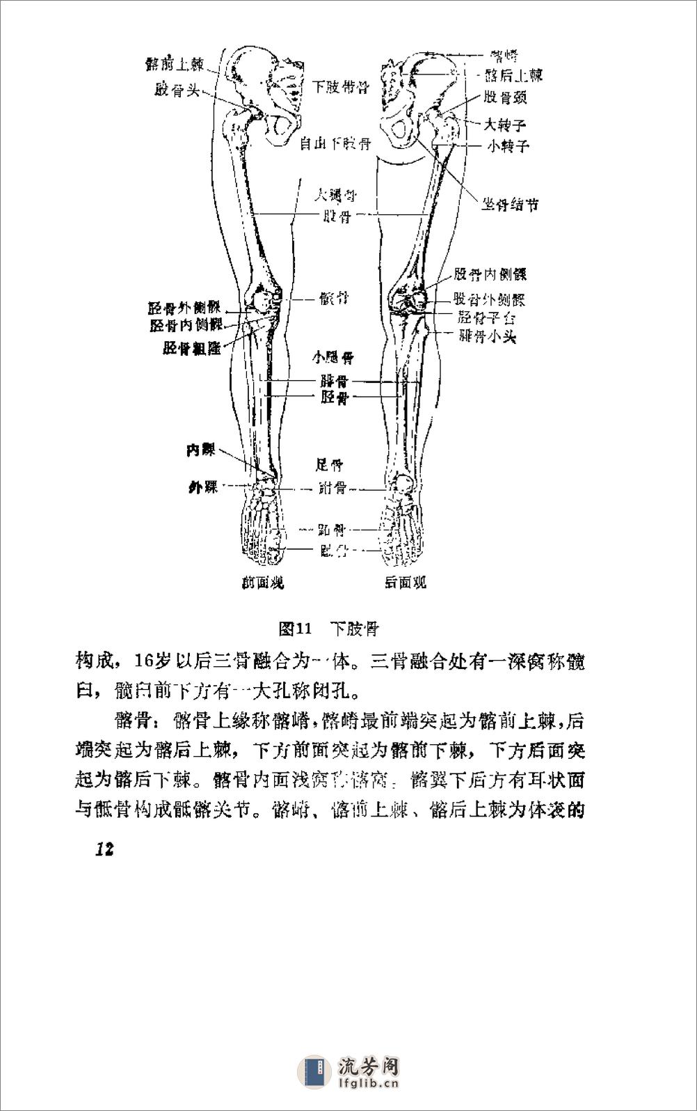 [杨希贤疗伤手法].陈新民 - 第17页预览图