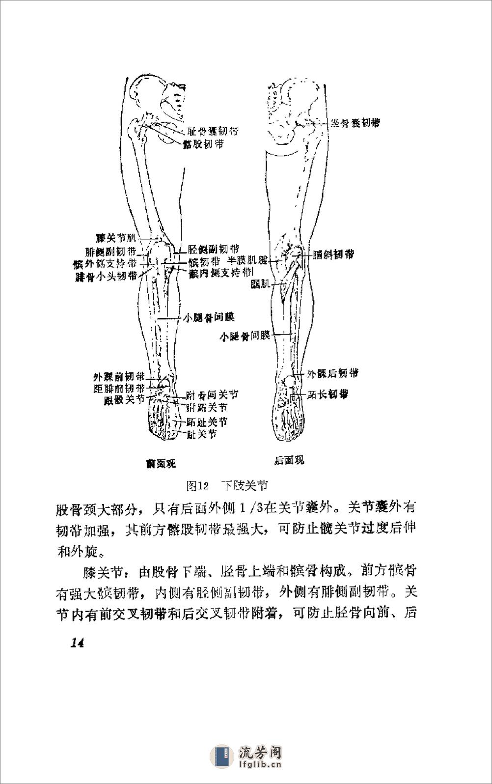 [杨希贤疗伤手法].陈新民 - 第19页预览图