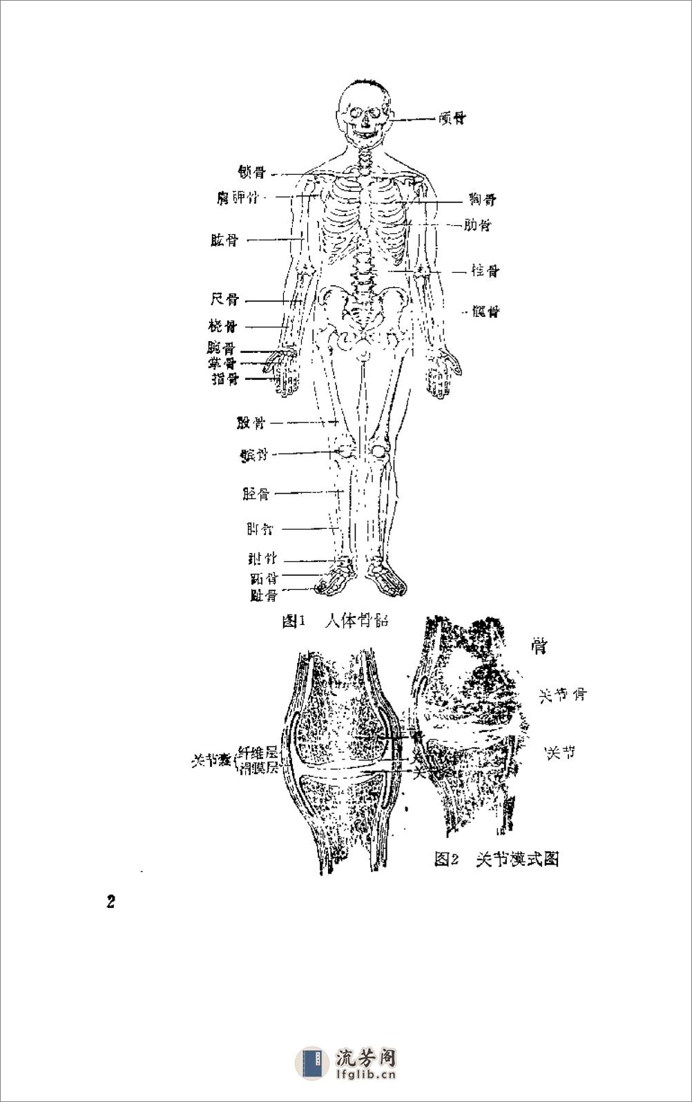 [杨希贤疗伤手法].陈新民 - 第7页预览图