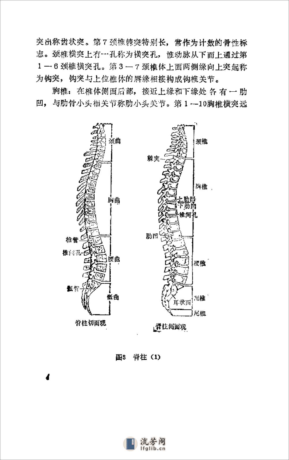 [杨希贤疗伤手法].陈新民 - 第9页预览图