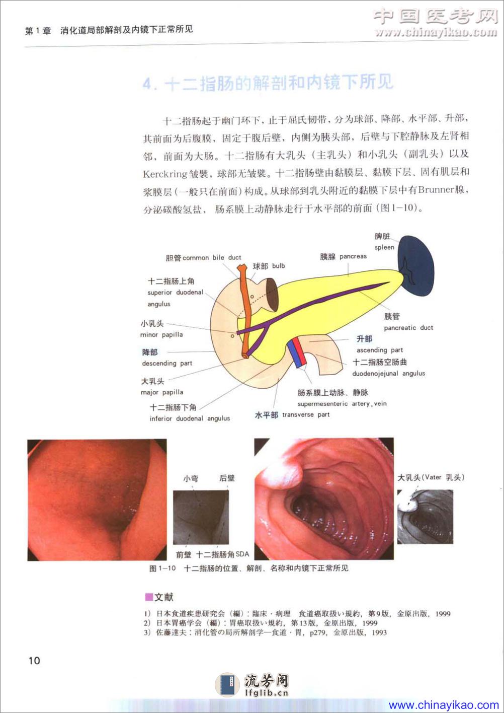 内镜诊断与鉴别诊断图谱【上消化道】 - 第19页预览图