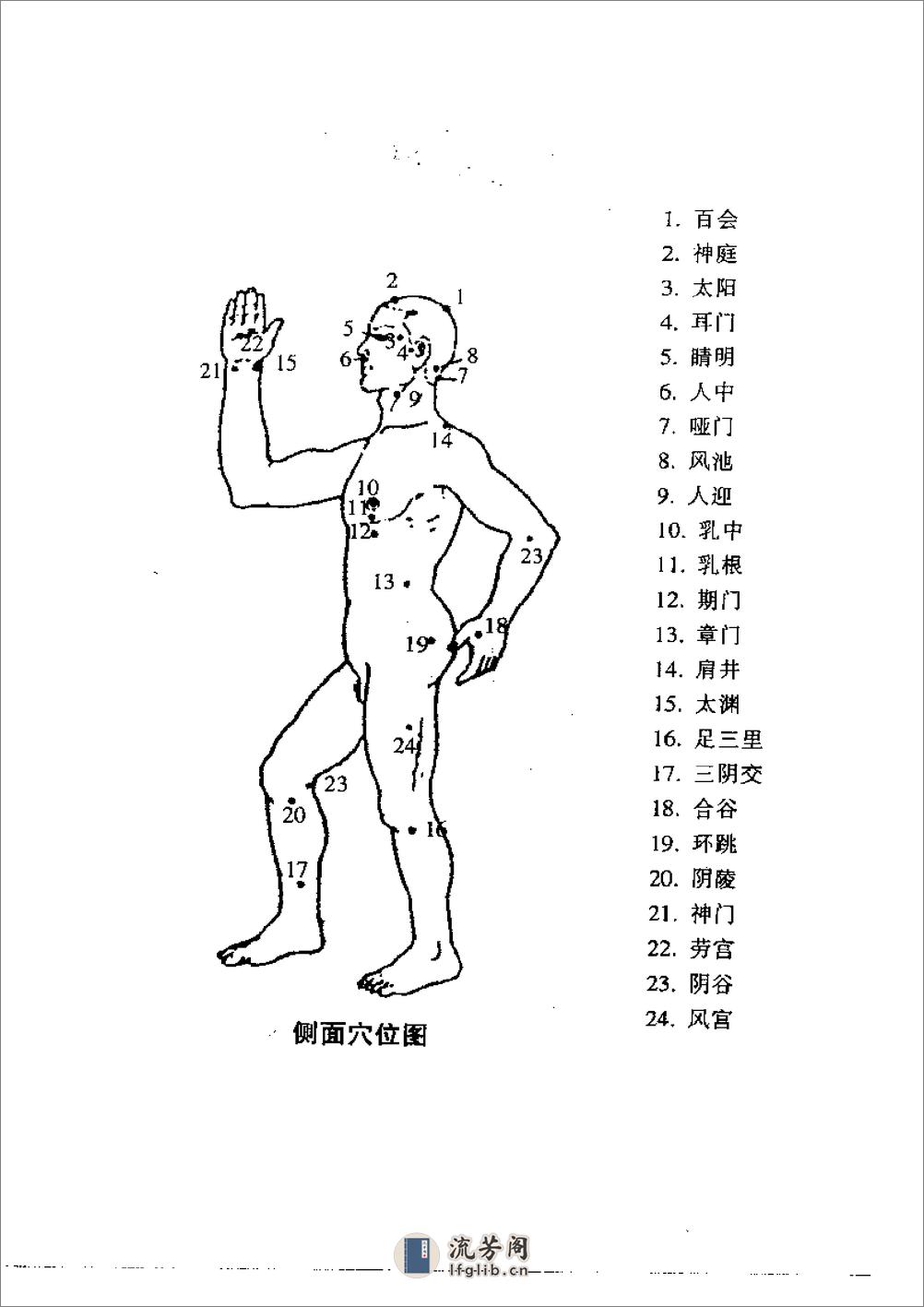 按摩全书 - 第6页预览图