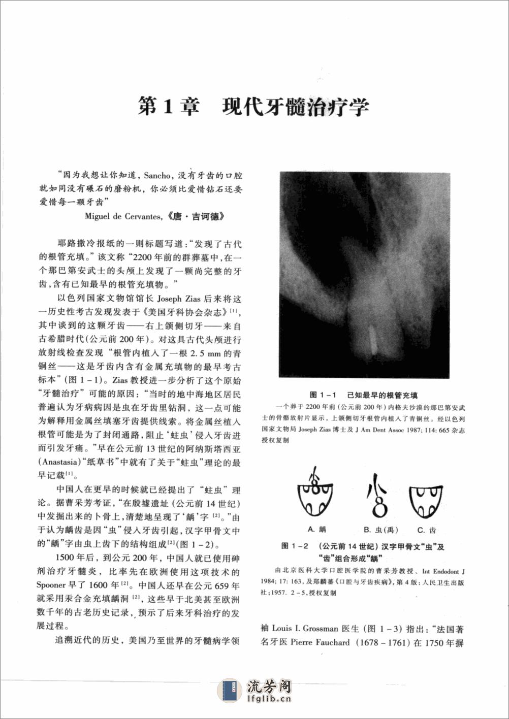 牙髓病学(pnw)清晰版_12347971 - 第7页预览图