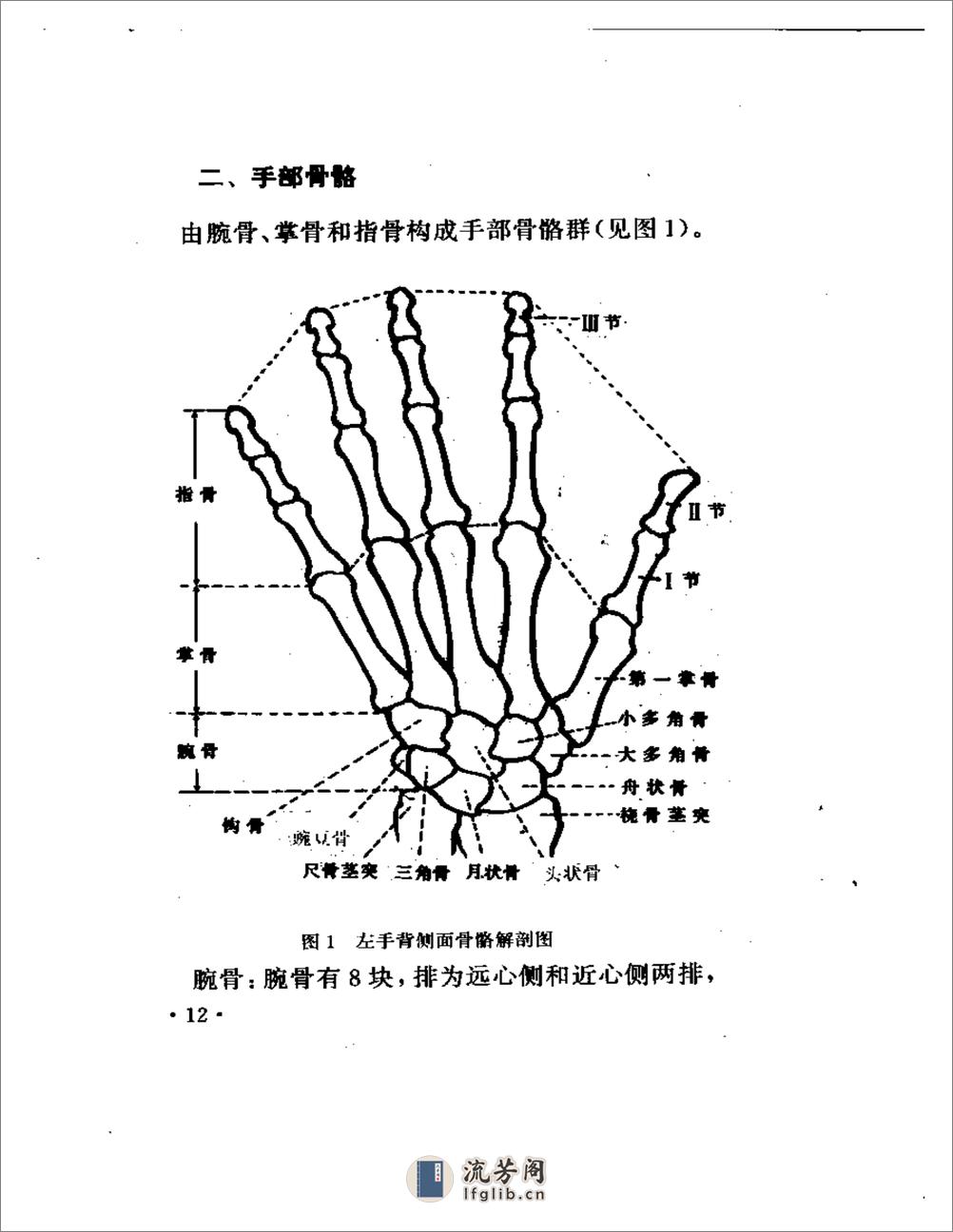 手象针与足象针（方本正） - 第16页预览图