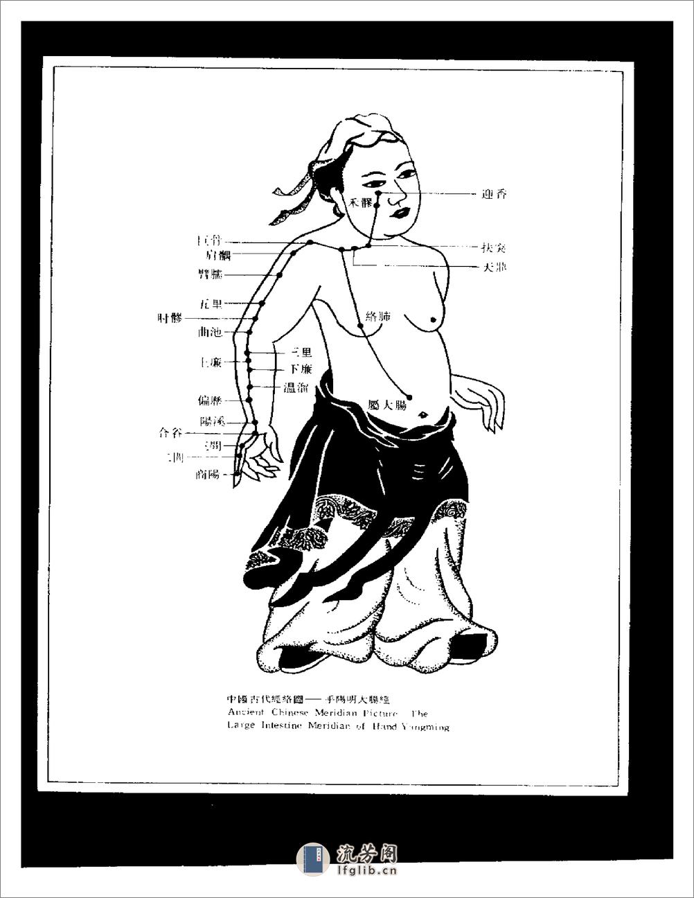 图解中国针灸技法（中英对照）（湖南科技1992） - 第5页预览图