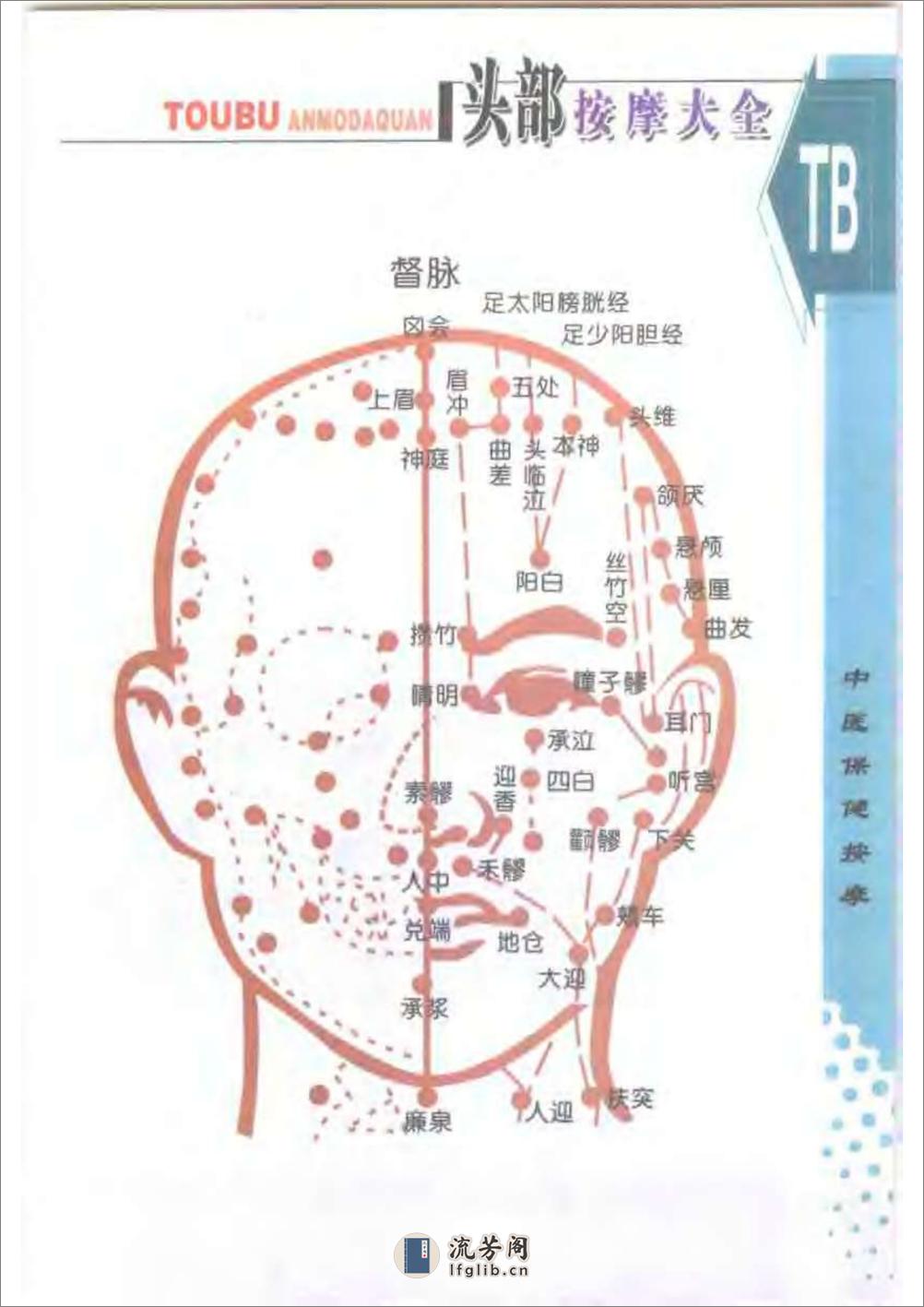 头部按摩大全 - 第5页预览图