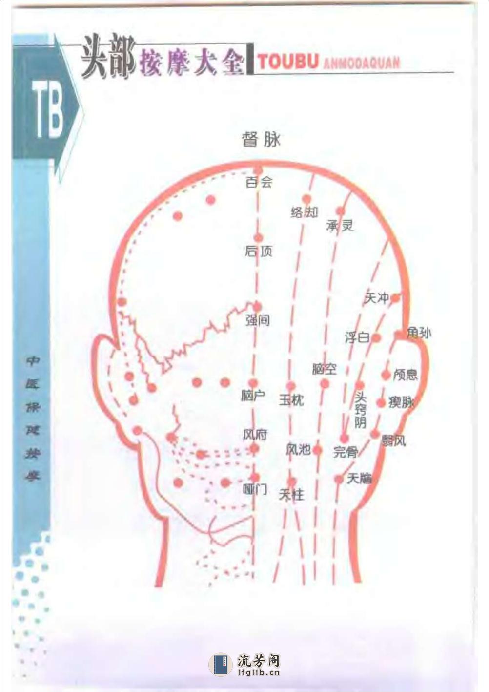 头部按摩大全 - 第6页预览图