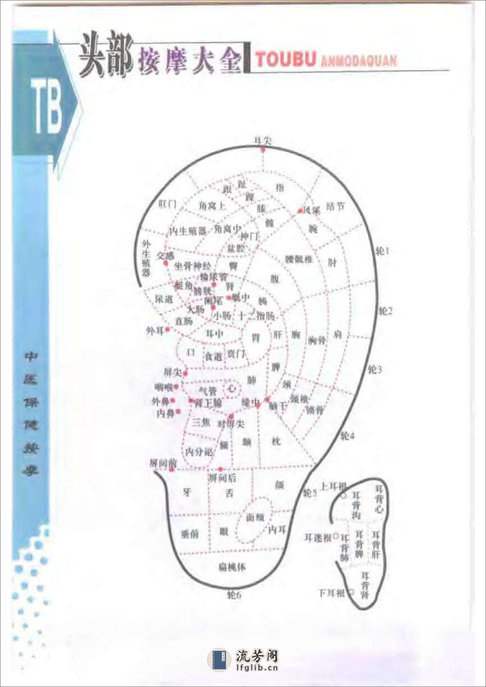 头部按摩大全 - 第8页预览图