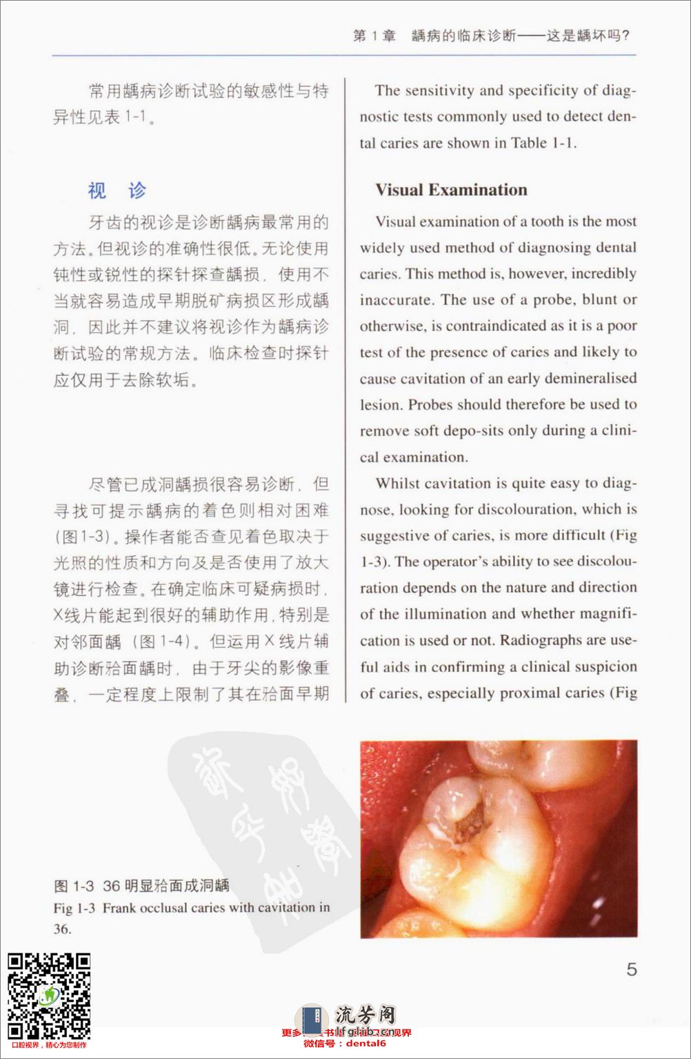 牙体修复的临床决策口腔临床要点快速掌握系列11 - 第14页预览图