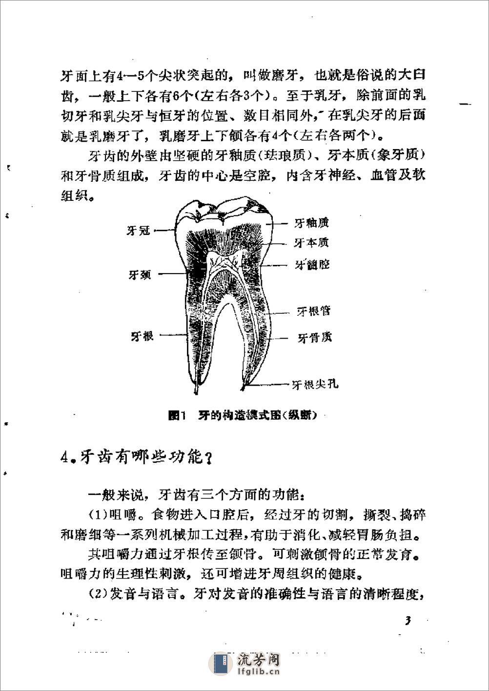 家庭育儿顾问－儿童口腔常见病问答 - 第13页预览图