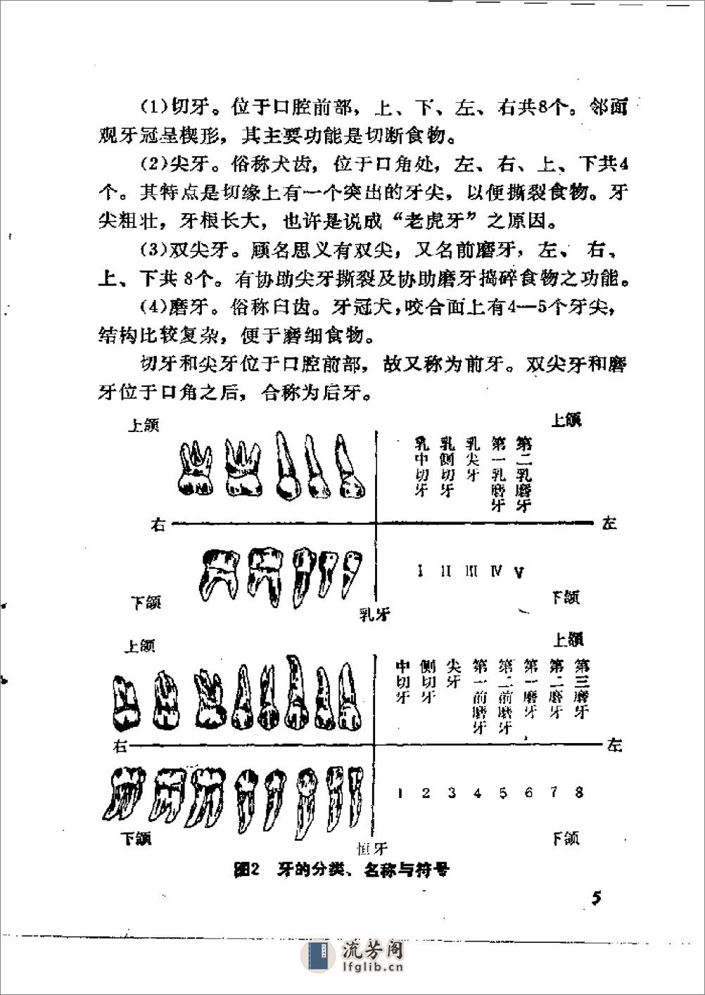 家庭育儿顾问－儿童口腔常见病问答 - 第15页预览图