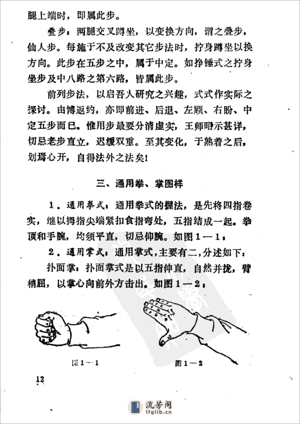 《岳氏连拳——八翻手》马野居 - 第19页预览图