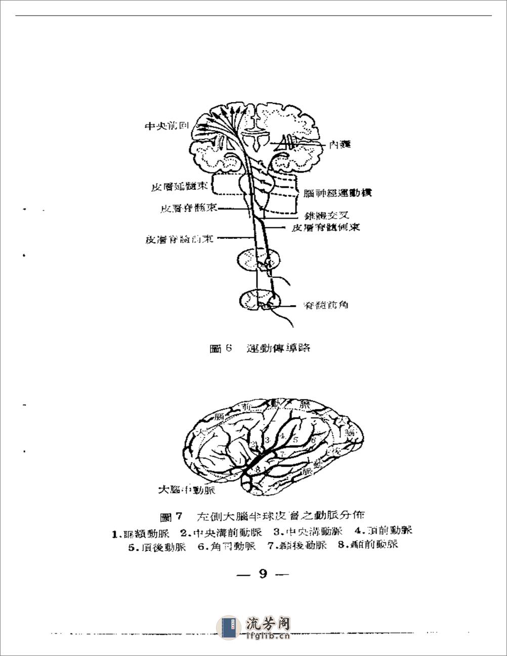 简明头针针疗法 - 第10页预览图