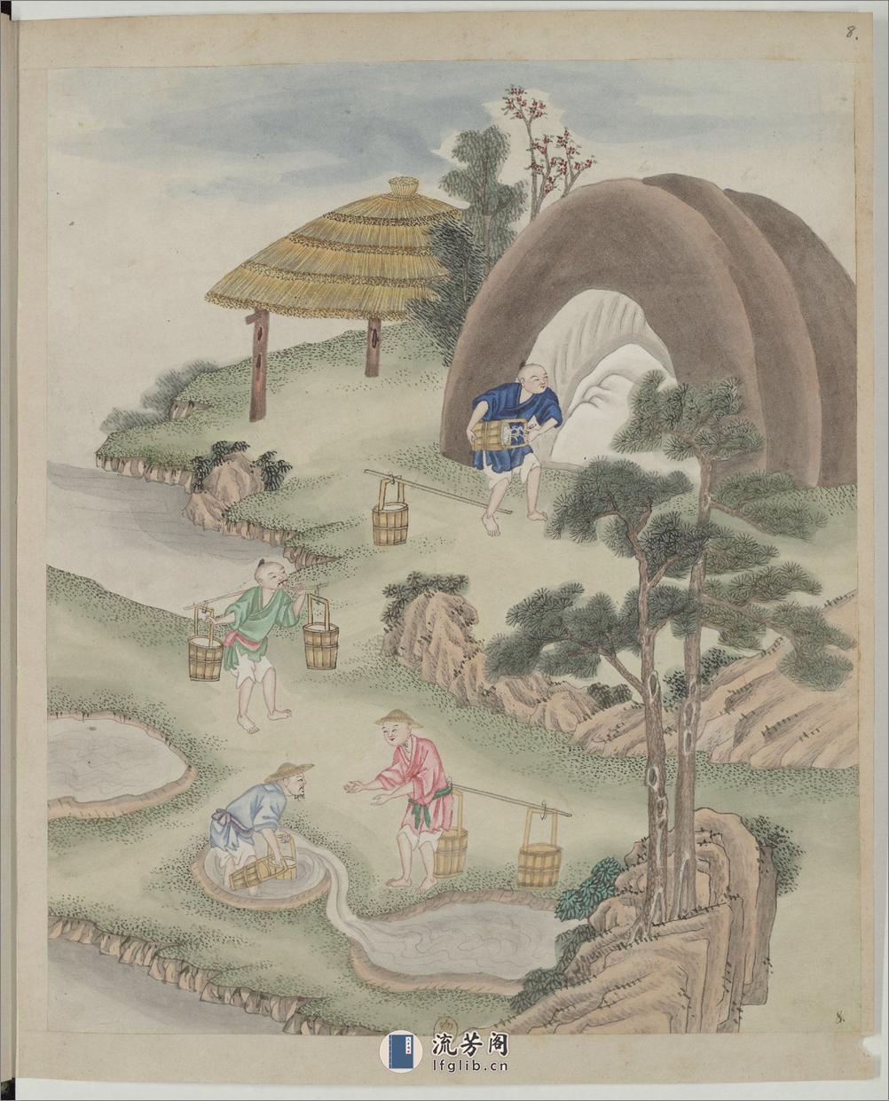中国自然历史绘画.瓷器制造.水粉和通草画册.两本.19世纪 - 第14页预览图