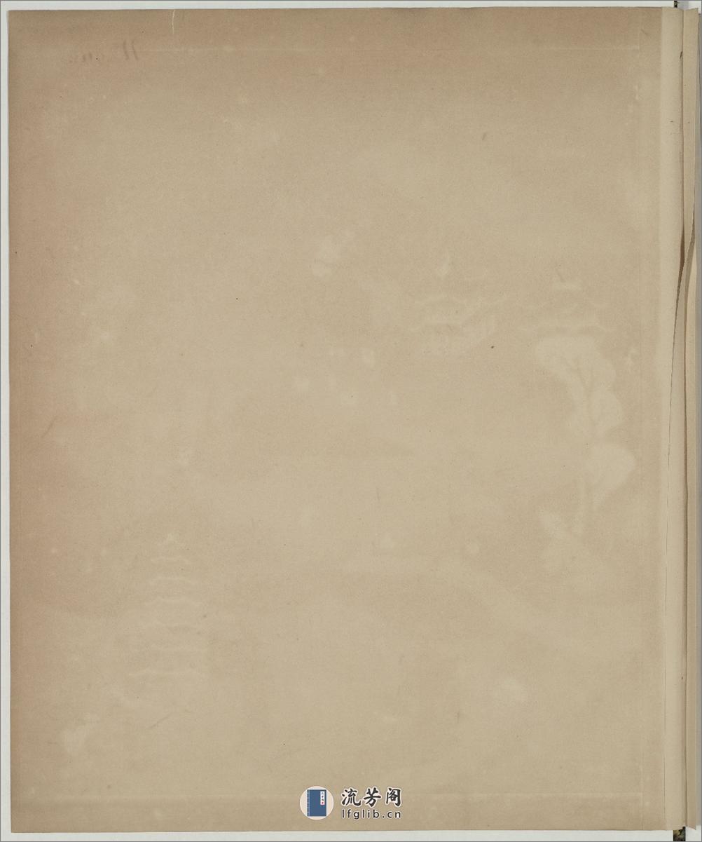 中国自然历史绘画.瓷器制造.水粉和通草画册.两本.19世纪 - 第6页预览图