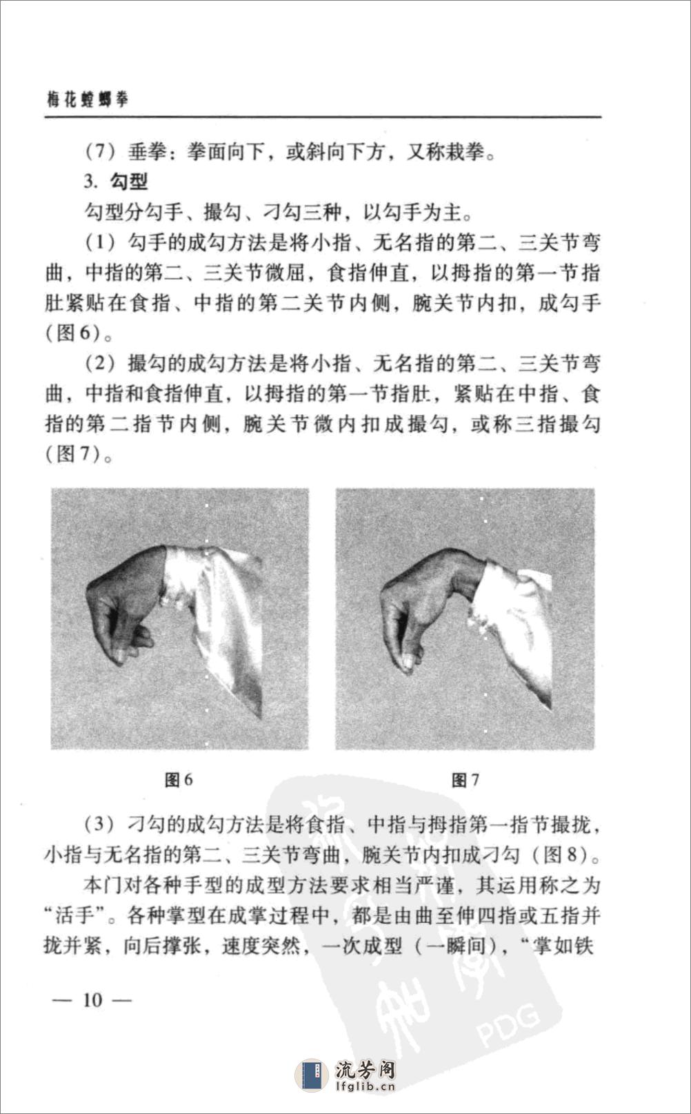 《梅花螳螂拳》陈志忠 - 第19页预览图