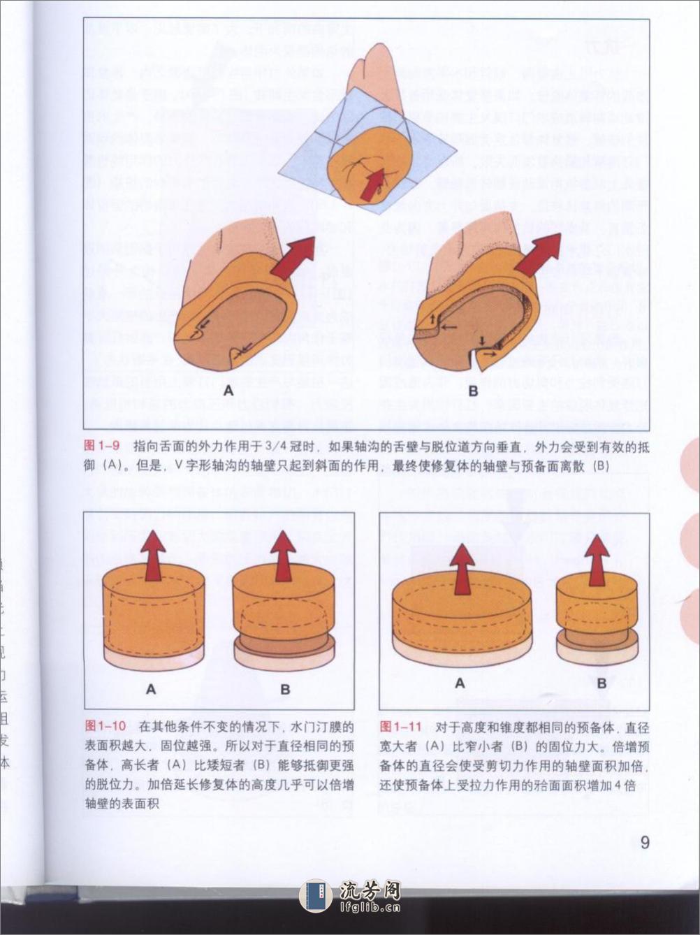 牙体预备原则 - 第11页预览图