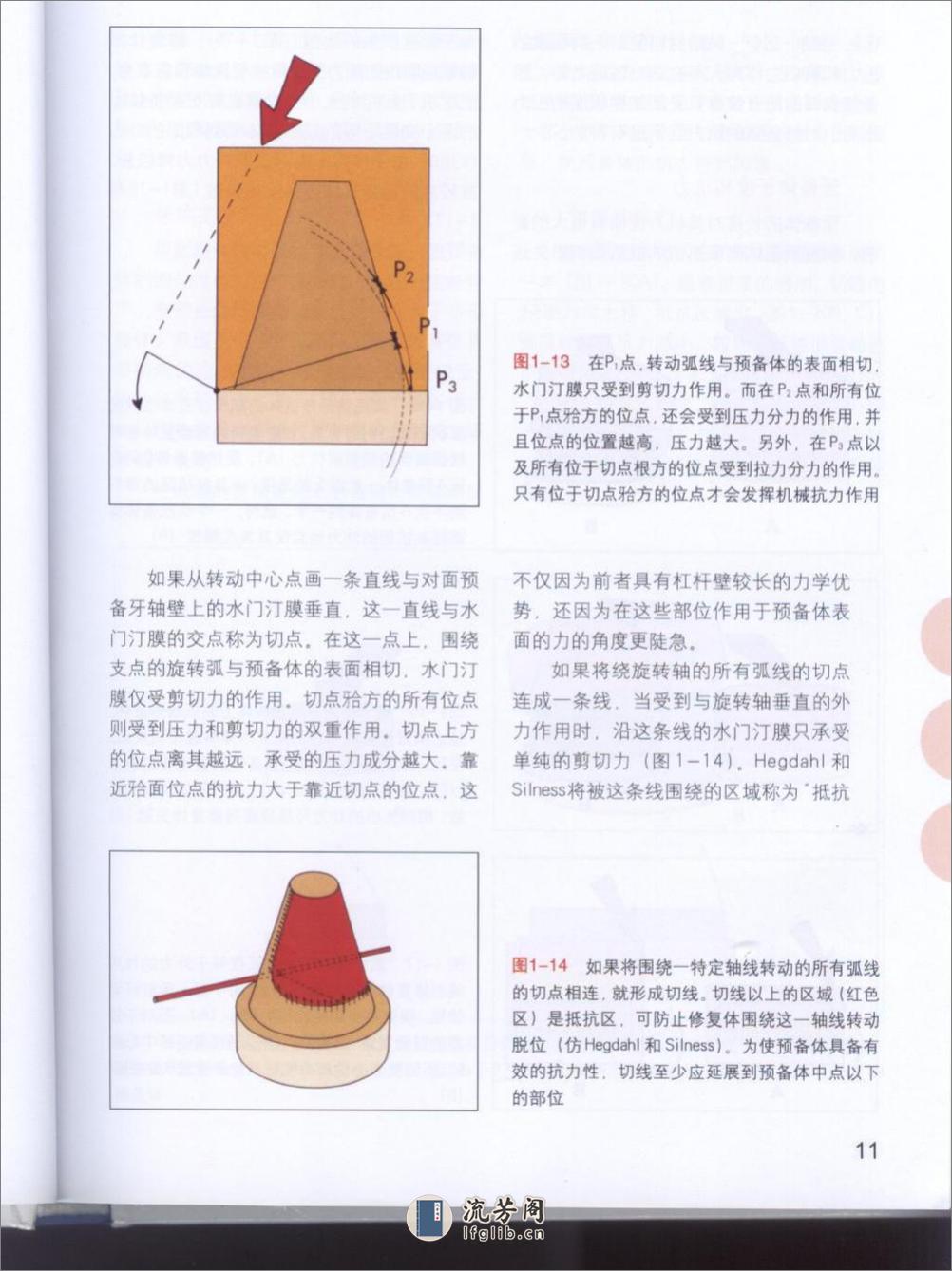 牙体预备原则 - 第13页预览图