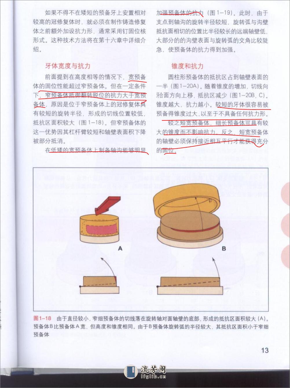 牙体预备原则 - 第15页预览图