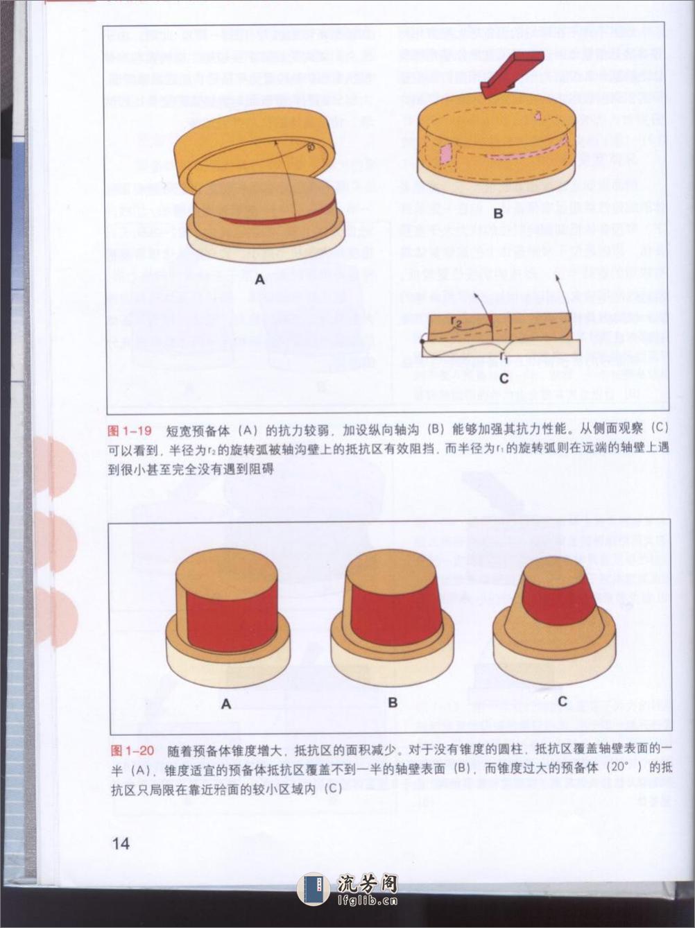 牙体预备原则 - 第16页预览图