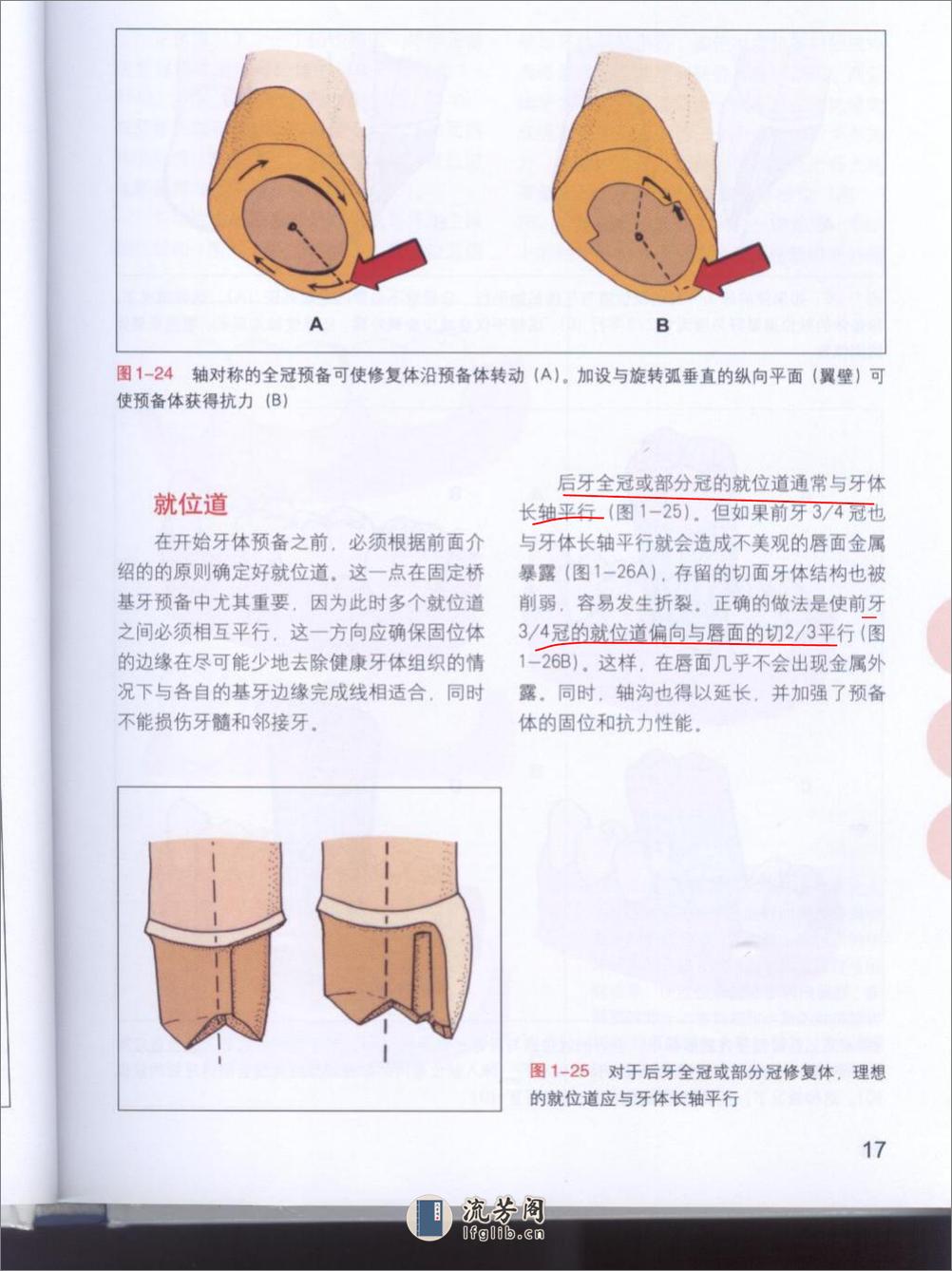 牙体预备原则 - 第19页预览图