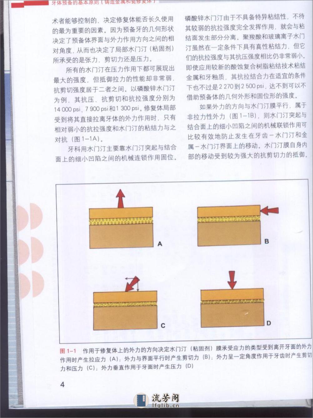 牙体预备原则 - 第6页预览图