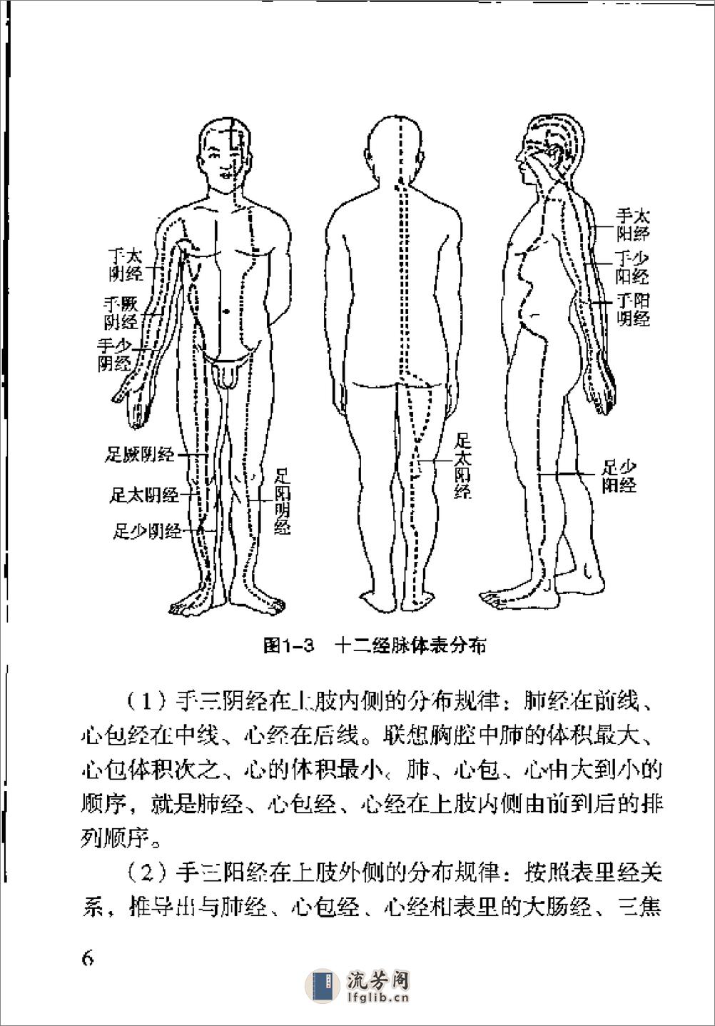 针灸经络穴位速记手册 - 第13页预览图